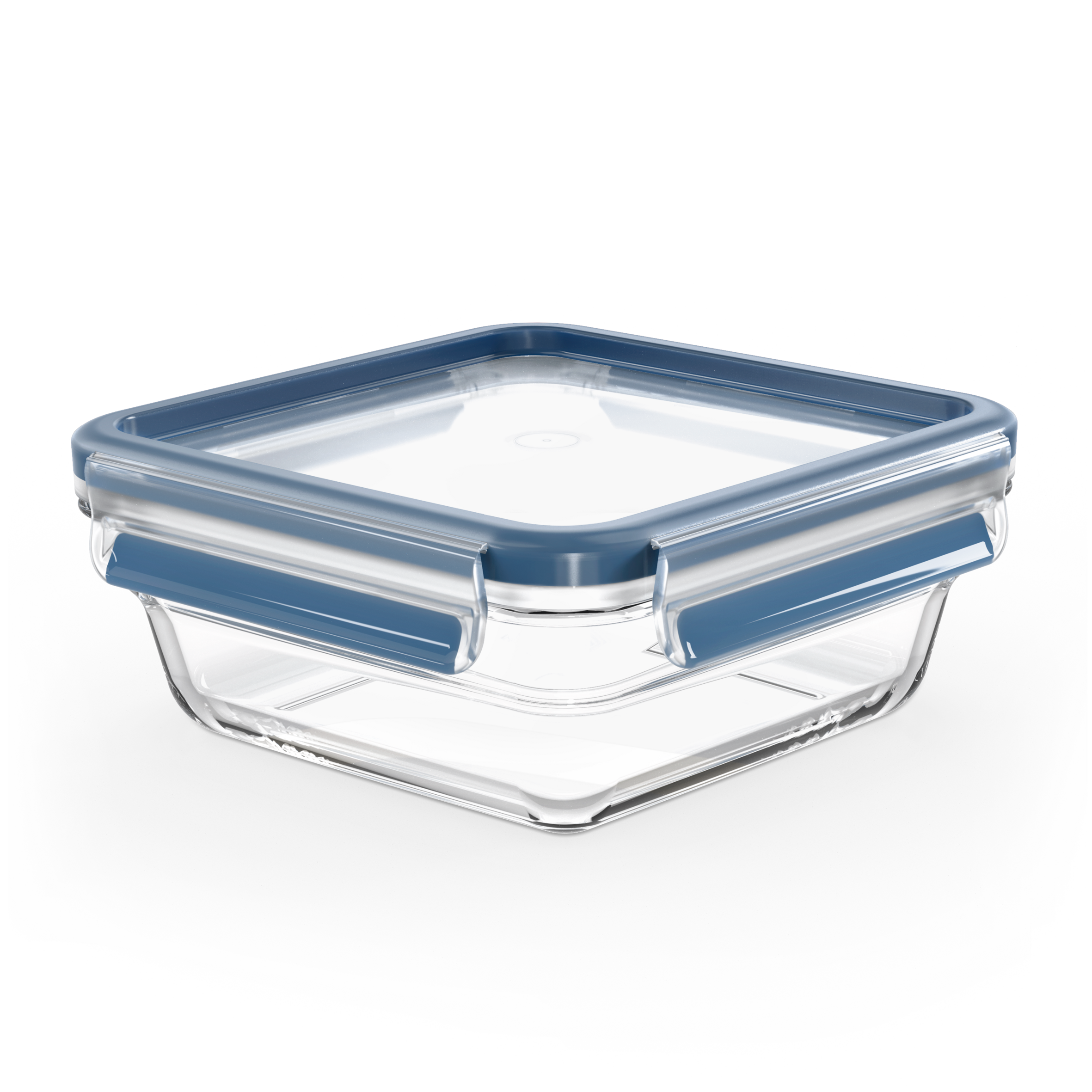 Masterseal Glass N1043610 - Boîte de conservation - 0,8L