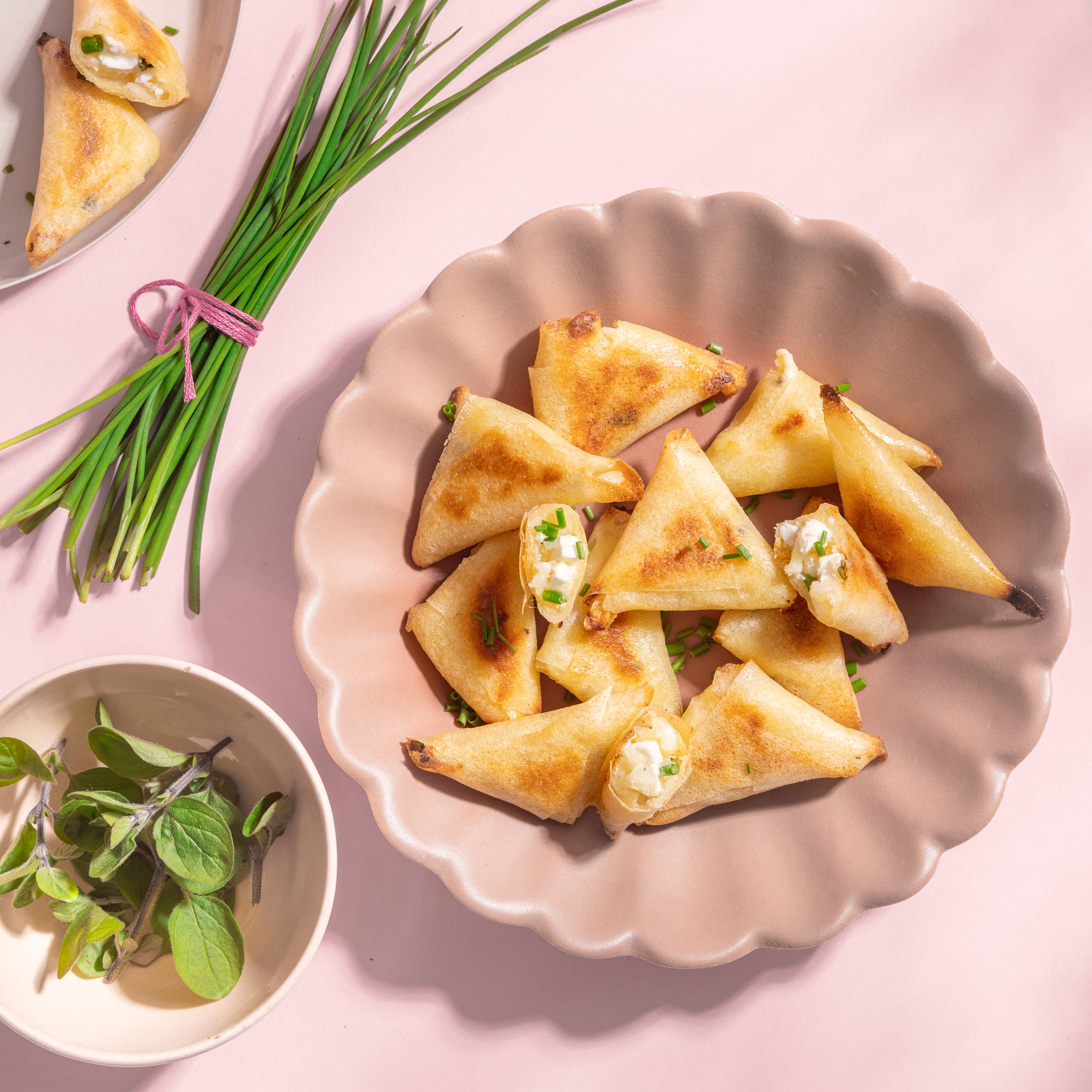 2 samosaplaten VOOR SNACK COLLECTION SW34/SW85/SW86/SW87