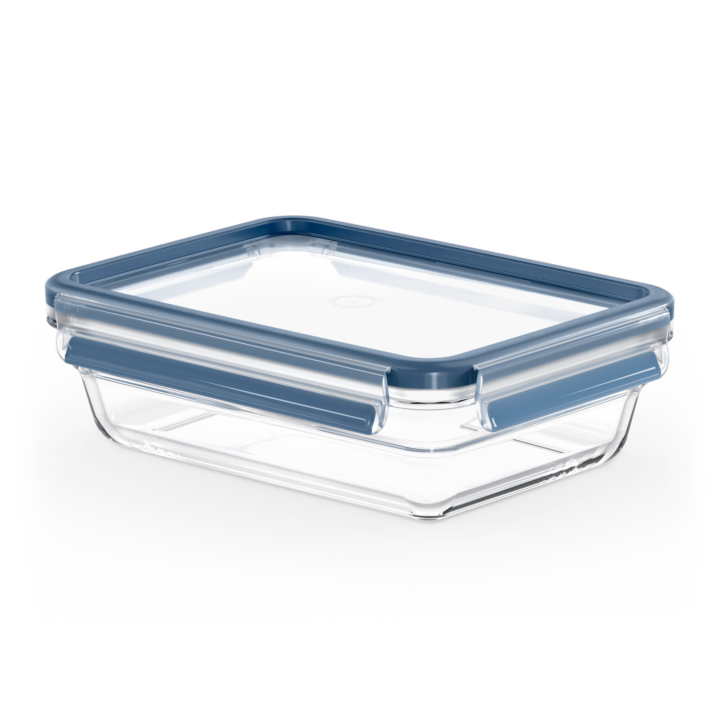 Masterseal Glass N1042910 - Boîte de conservation - 1,1L