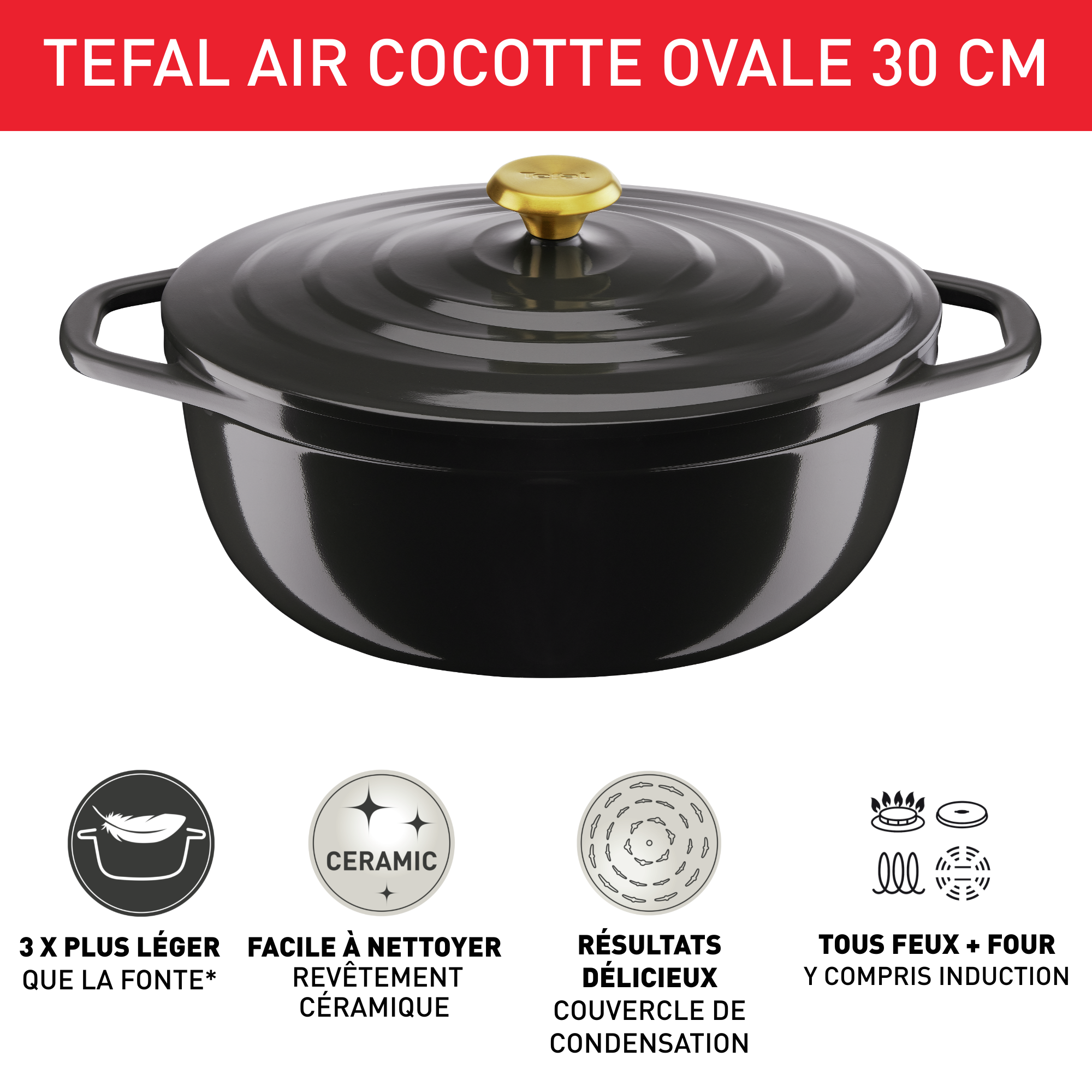 Air E2558904 Cocotte en aluminium - 30 x 23 cm - Induction