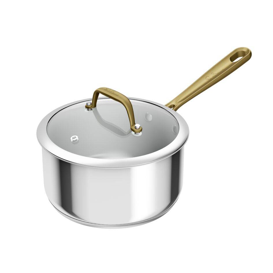 Tefal & Bocuse, H8242402 20 cm steelpan met glazen deksel, roestvrij staal zonder coating