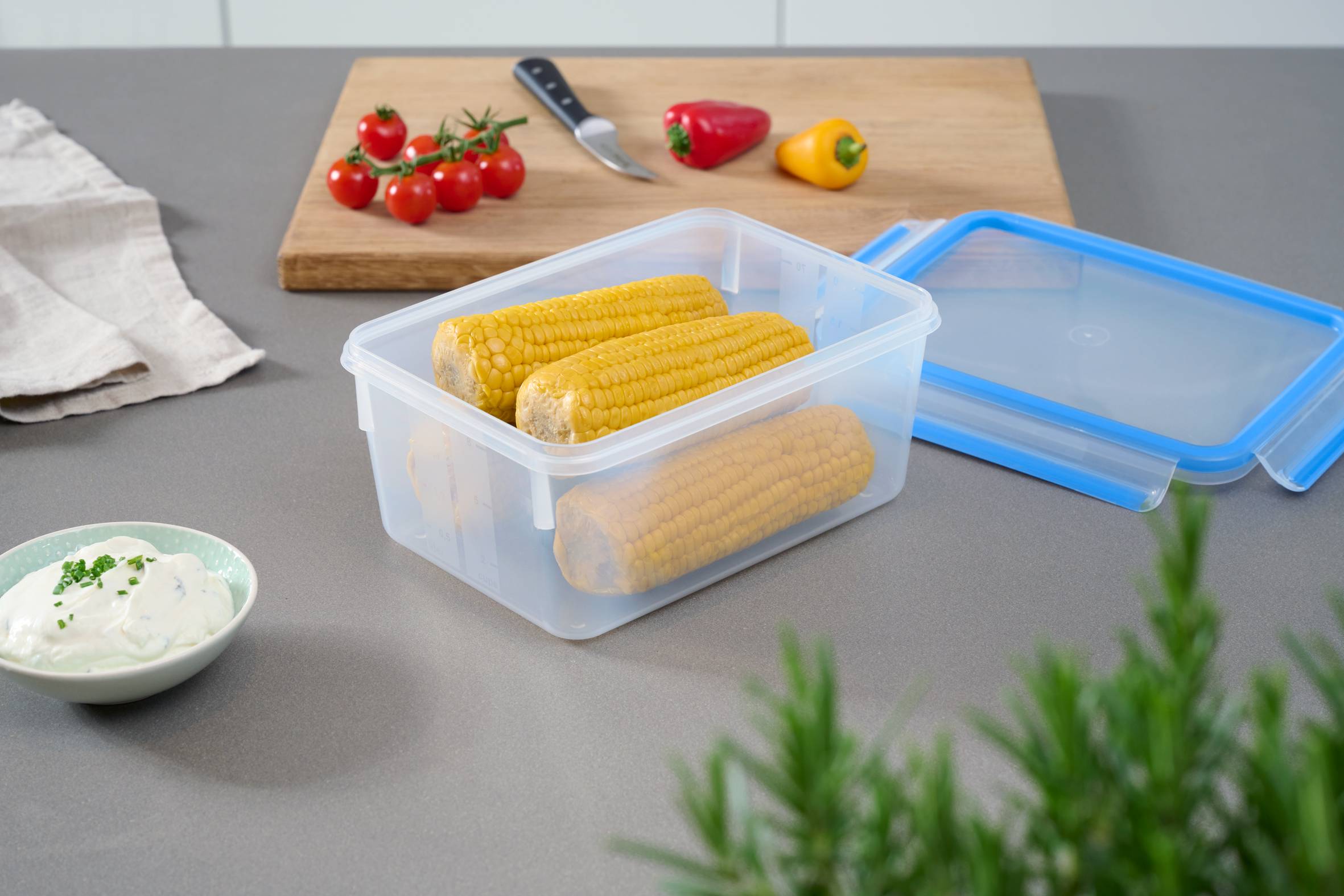 MasterSeal Fresh N1031451 Set van 9 bewaardozen van 0,15L tot 2,2L