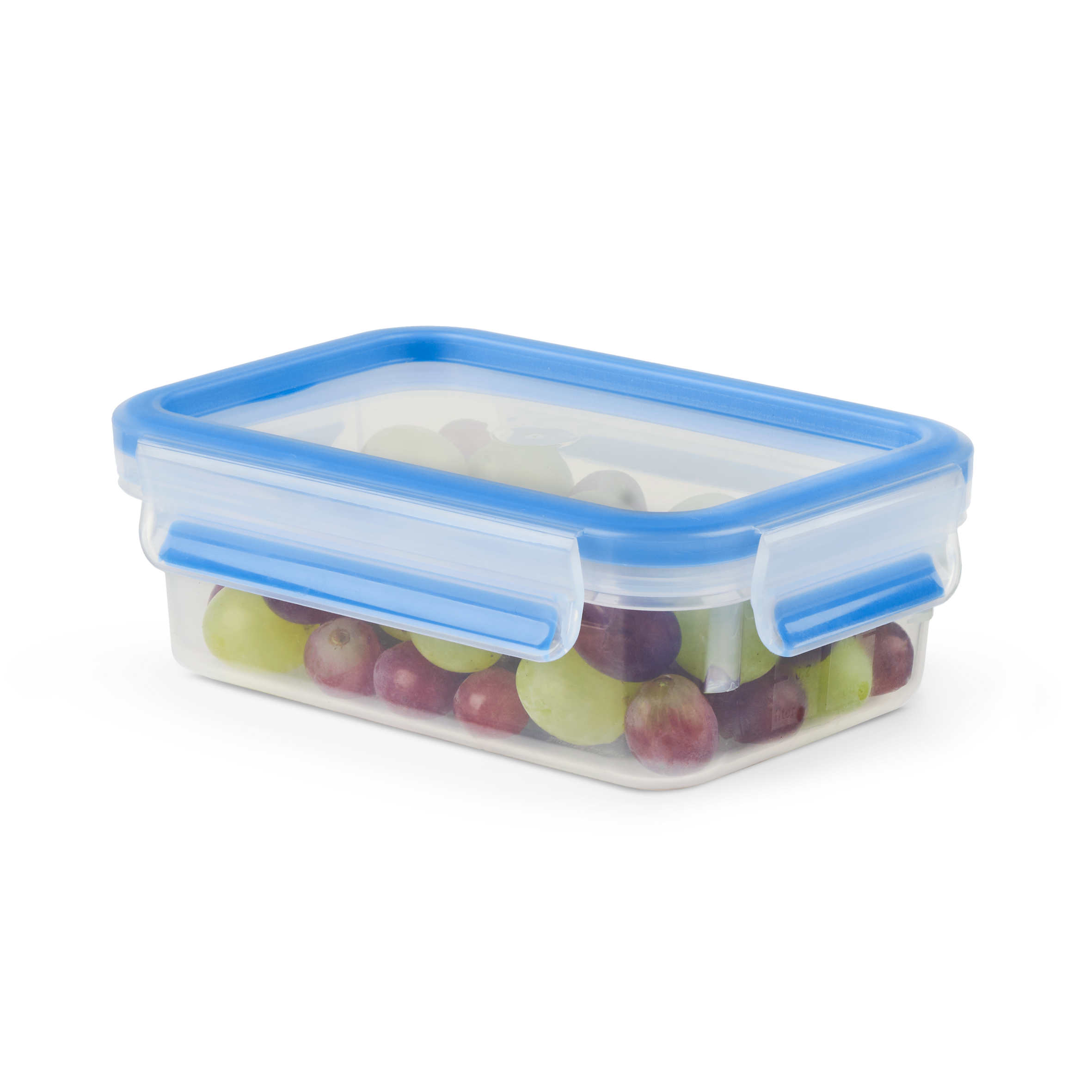 MasterSeal Fresh N1031251 Set van 3 bewaardozen - 0,55L