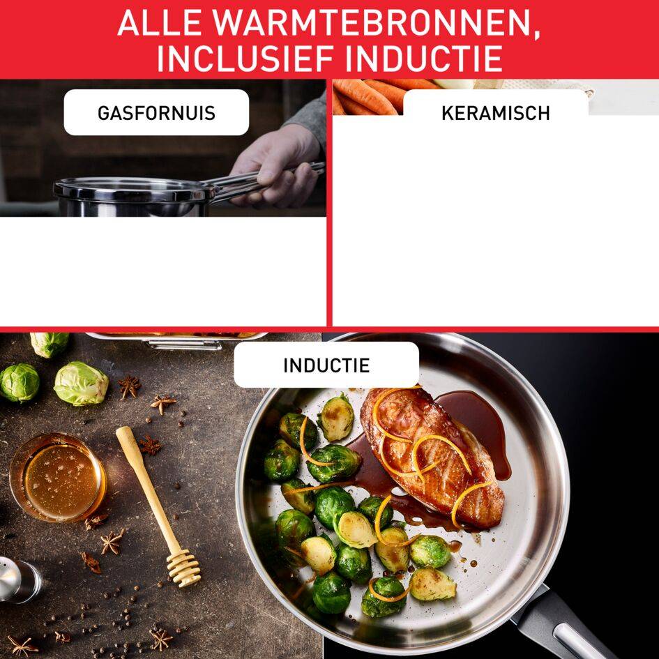 Daily Cook braadpan 24 cm, 10 jaar garantie, ergonomische handvatten die niet warm worden, handige schenkranden