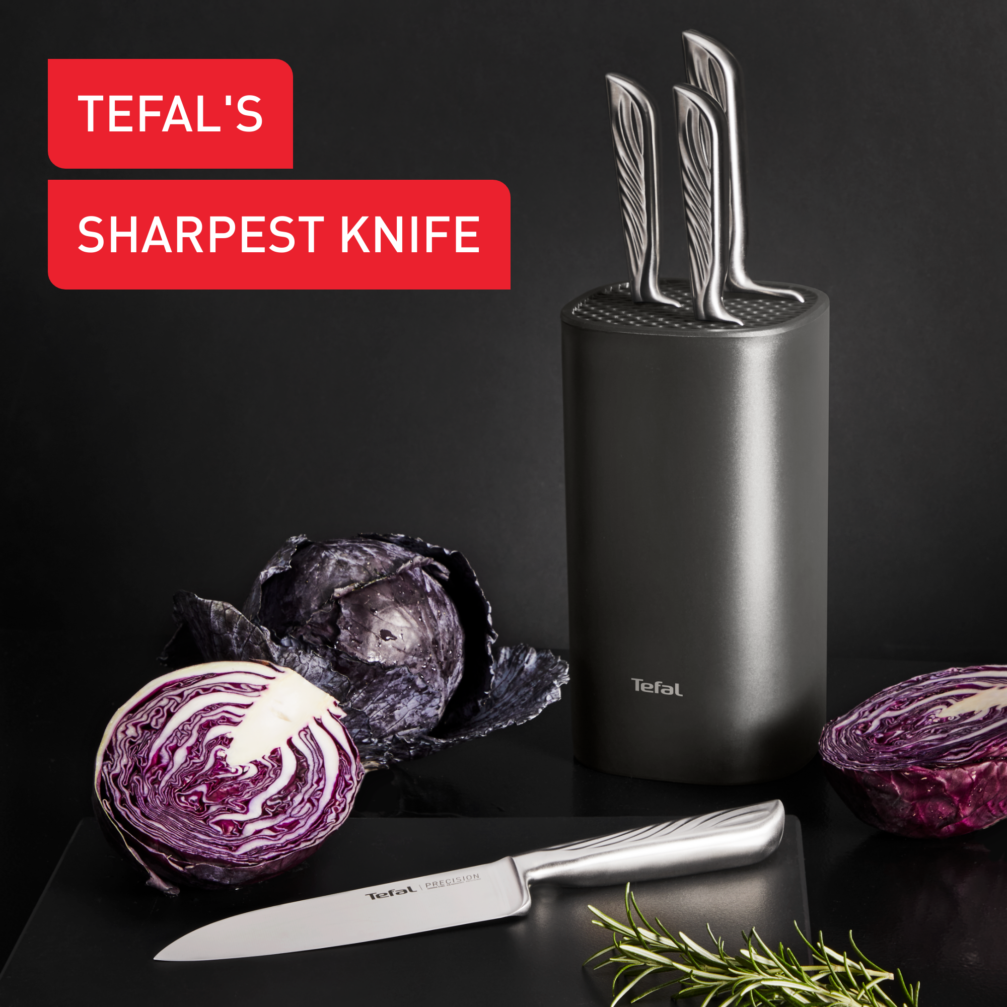 Precision K289S555 Set de 4 couteaux de cuisine + Bloc à couteaux