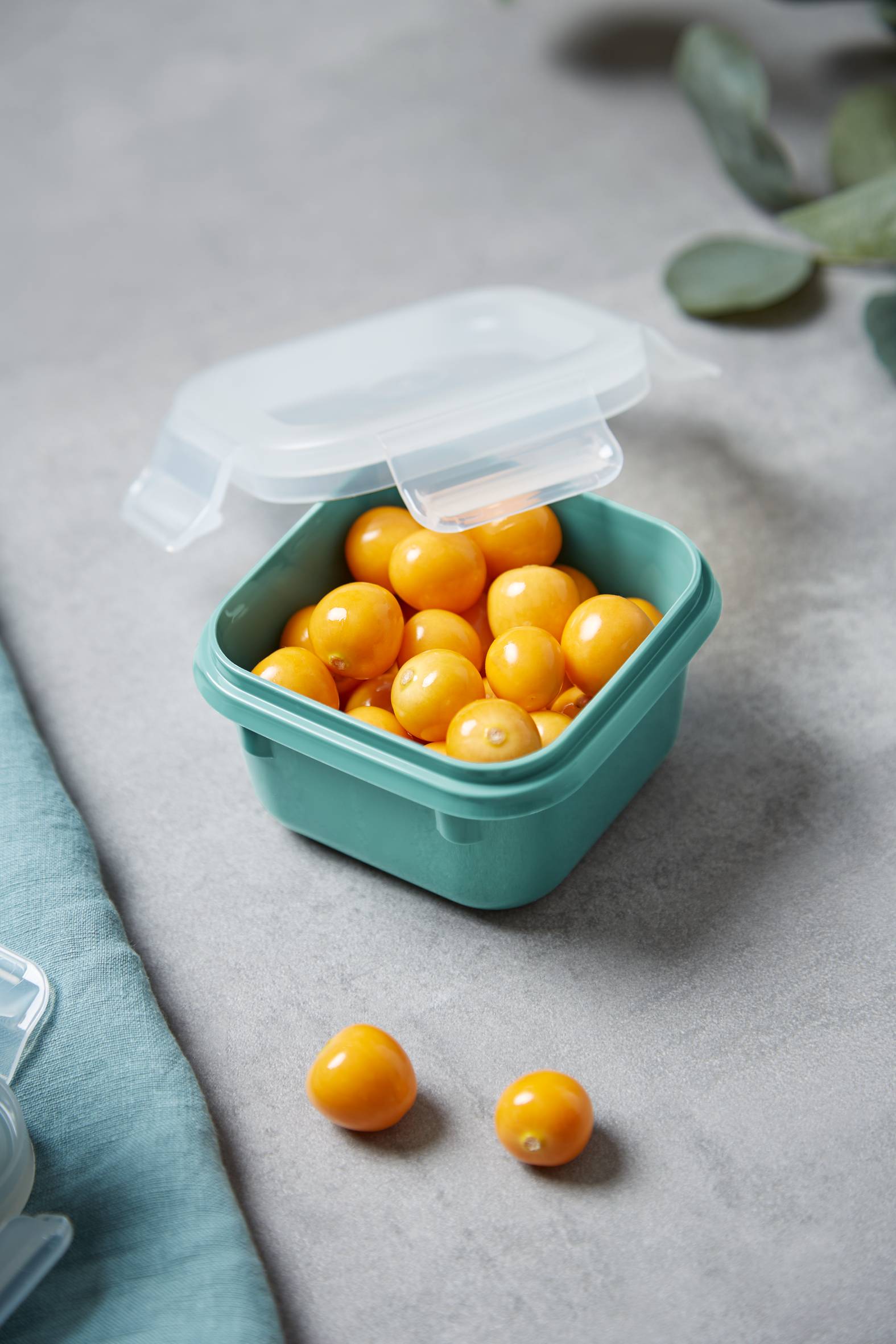 MasterSeal Color N1031010 Set de 4 boîtes de conservation - 0,20L / 0,55L / 0,80L / 2,2L