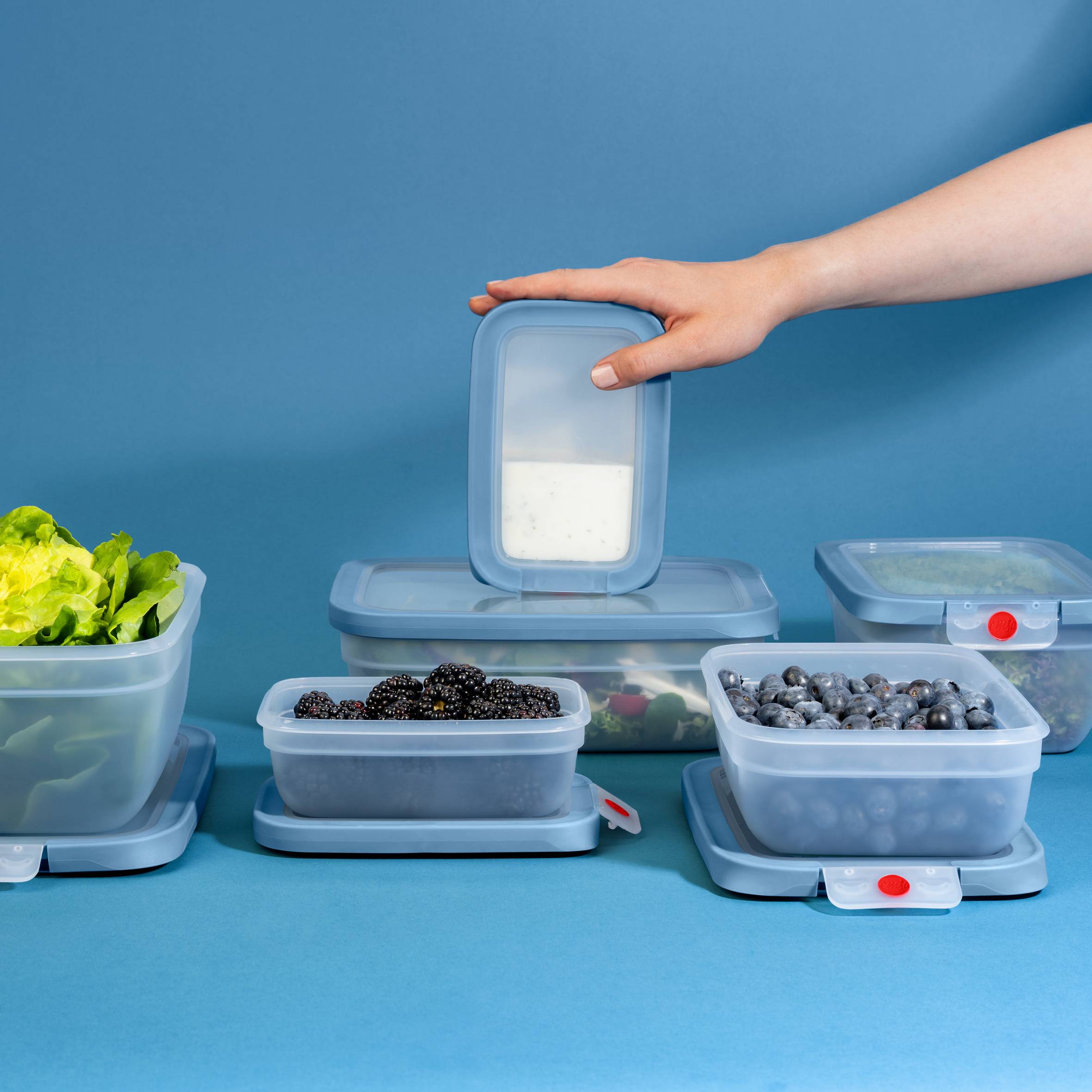OneClick N1230510 Set de 3 boîtes de conservation - 0,5L