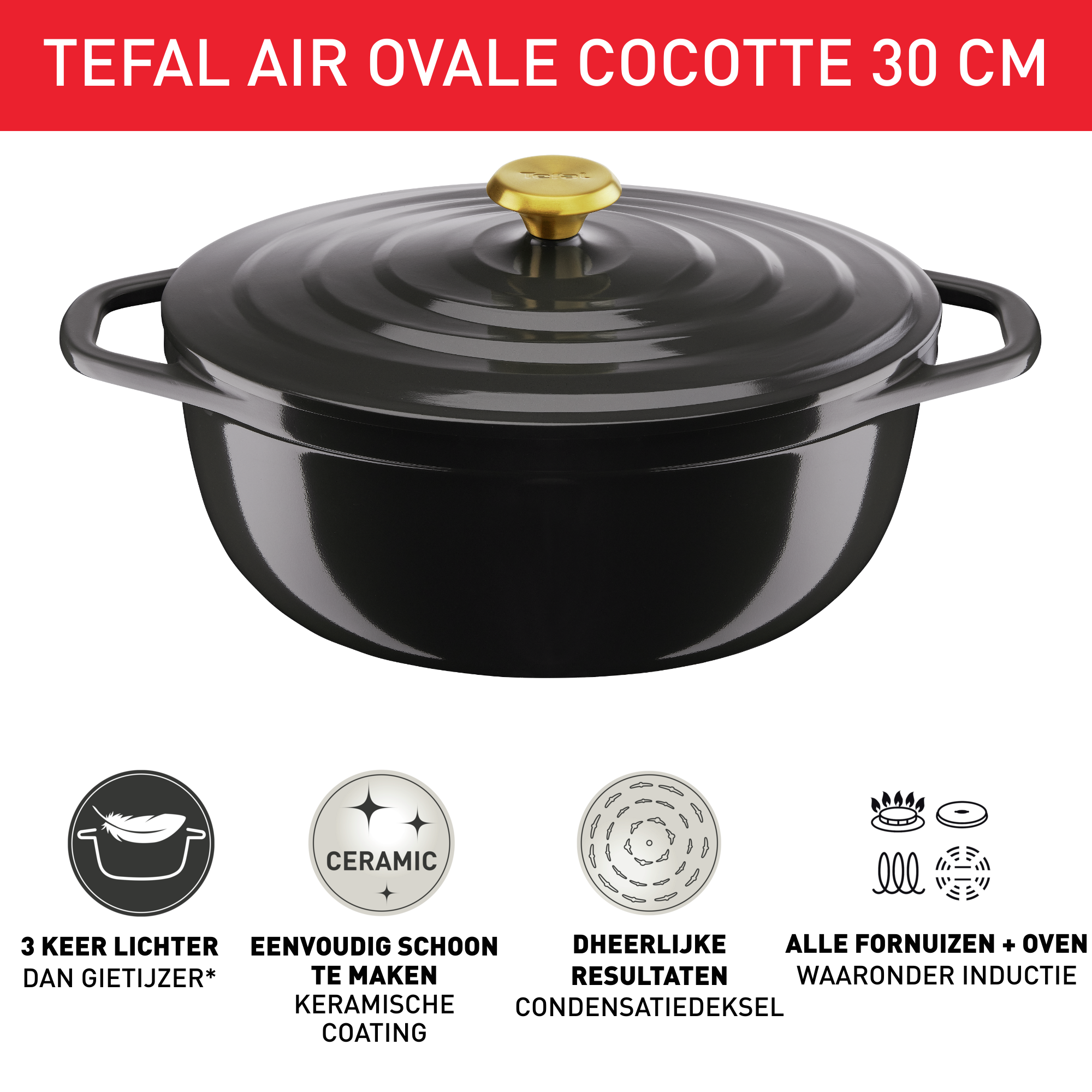 Air E2558904 Aluminium kookpot - 30 x 23 cm - Inductie