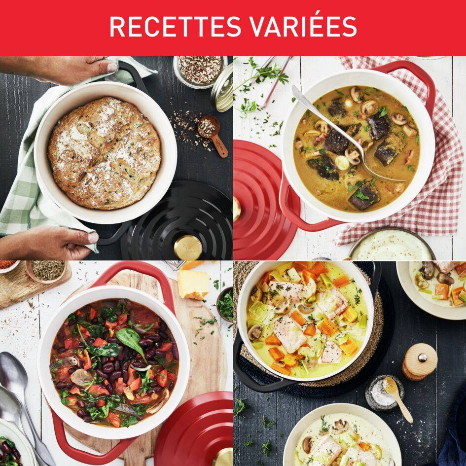 Air E2554604 Cocotte en aluminium - 24 cm - Induction