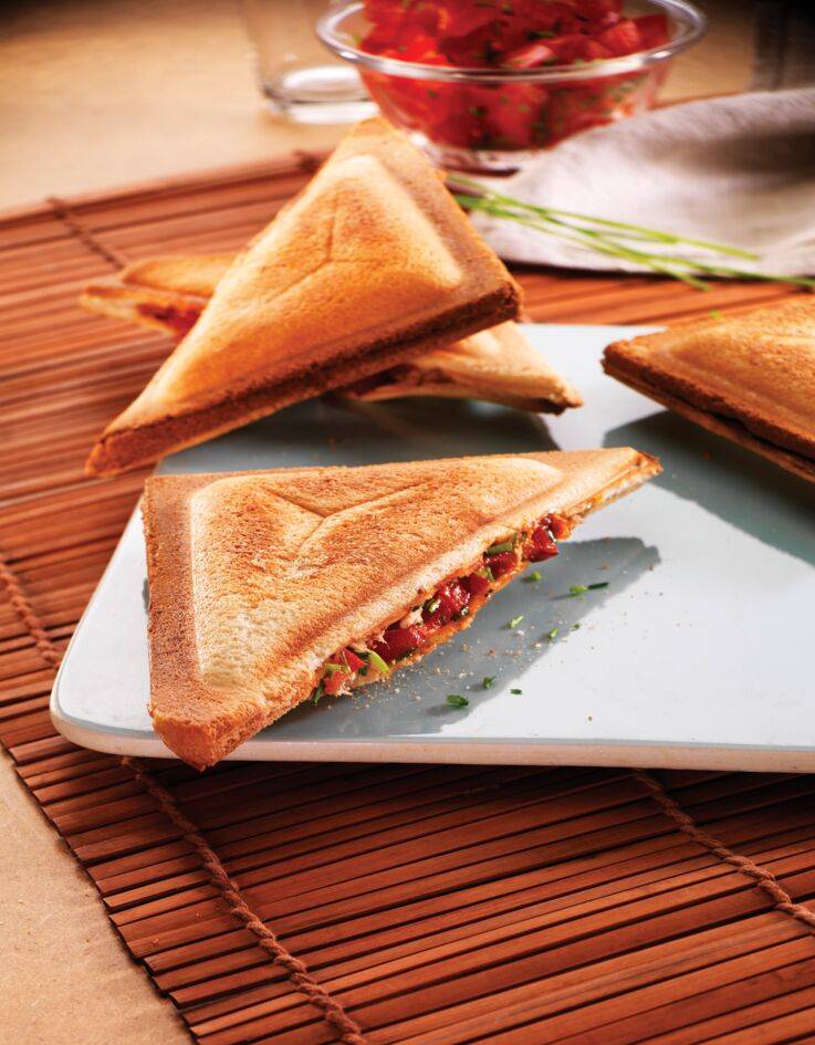 2 plaques Croque-triangle Snack Collection XA8102F0