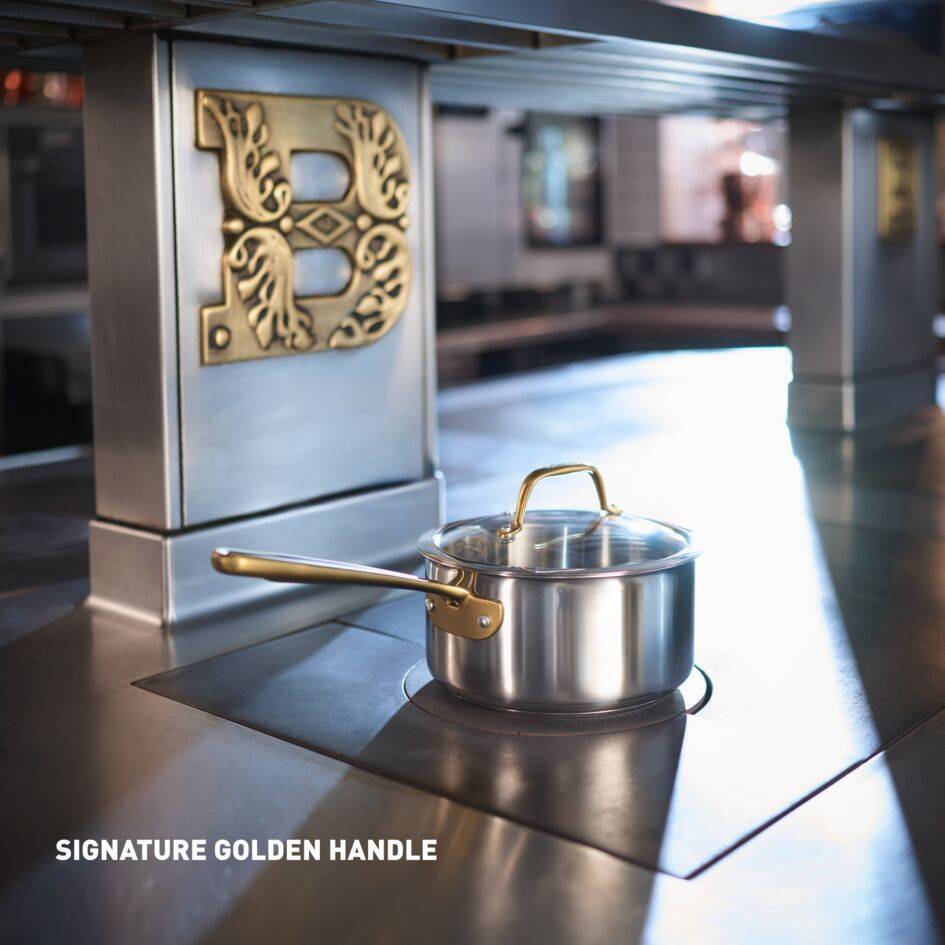 Tefal & Bocuse 24 cm stoofpot met glazen deksel, ongecoat roestvrij staal