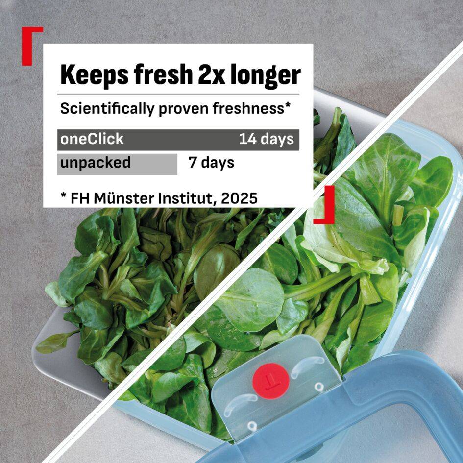 OneClick N1230510 Set de 3 boîtes de conservation - 0,5L