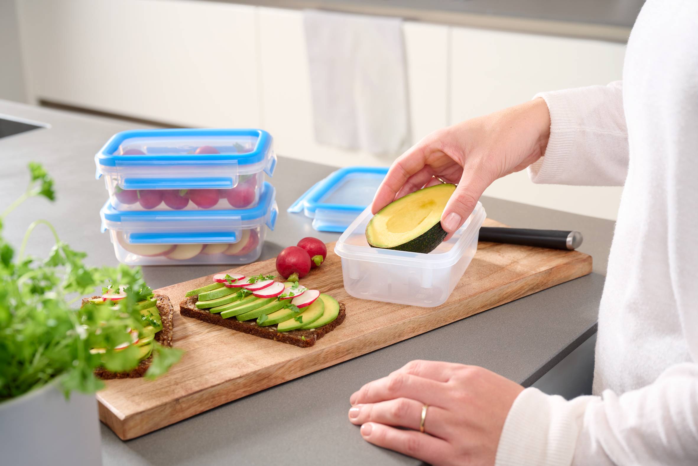 MasterSeal Fresh N1031251 Set van 3 bewaardozen - 0,55L