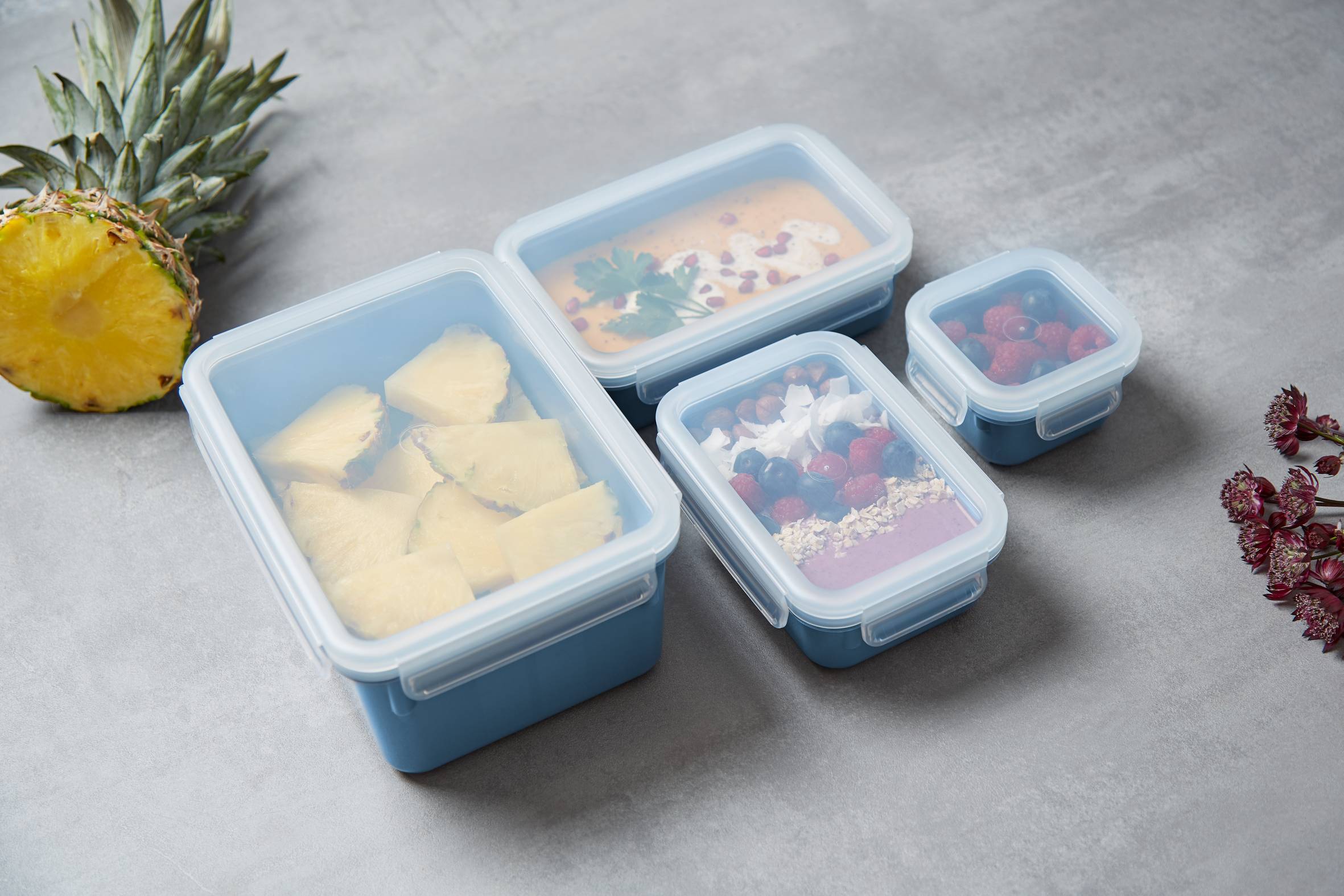 MasterSeal Color N1030810 Set de 4 boîtes de conservation - 0,20L / 0,55L / 0,80L / 2,2L