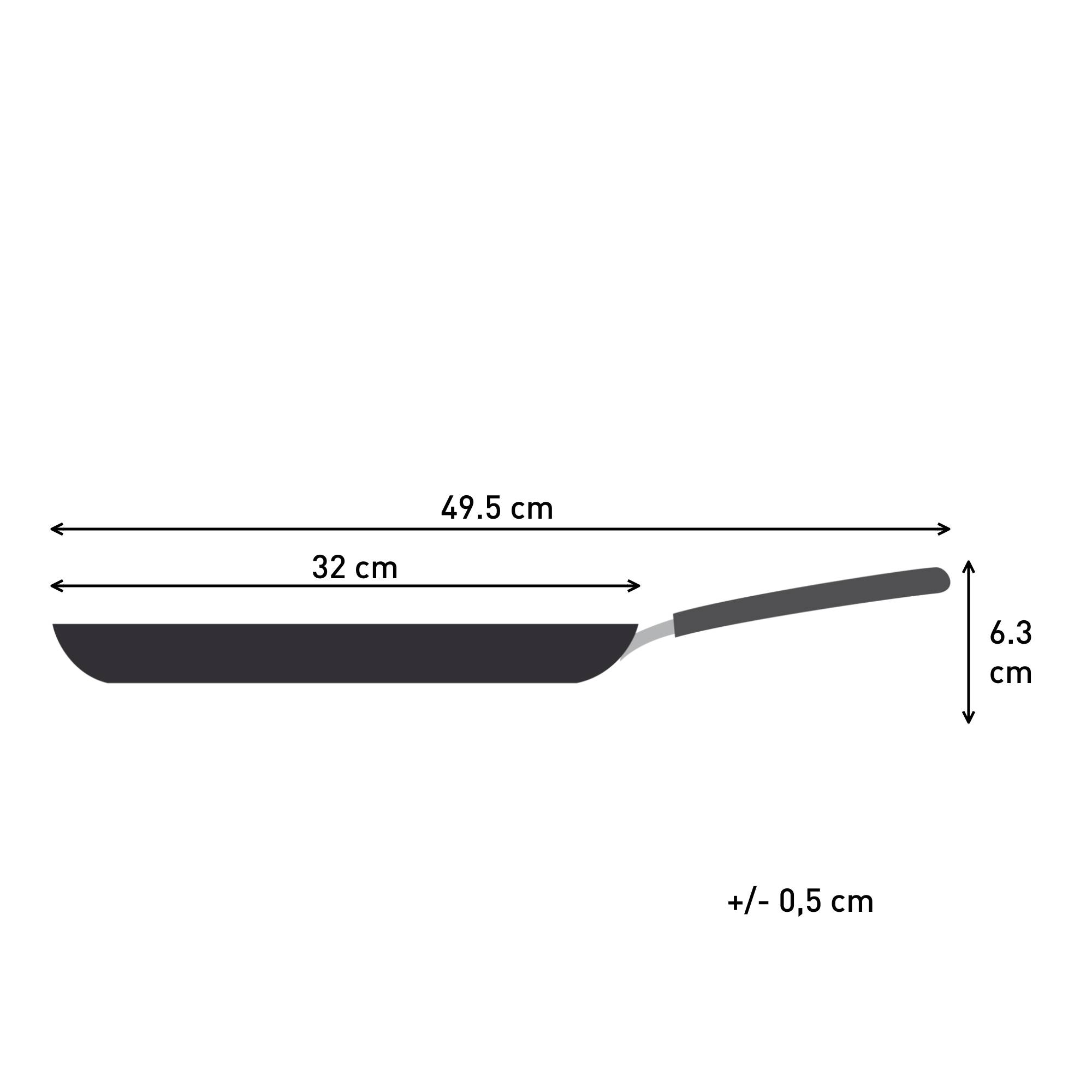 Pancake Day 2026, Pannenkoekenpan 32 cm, Anti-aanbaklaag, gelijkmatig koken