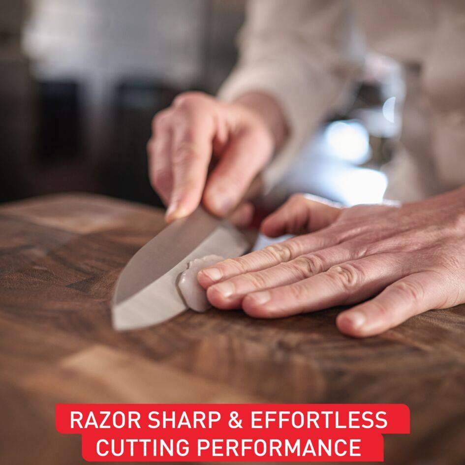 COLLECTION PAUL BOCUSE