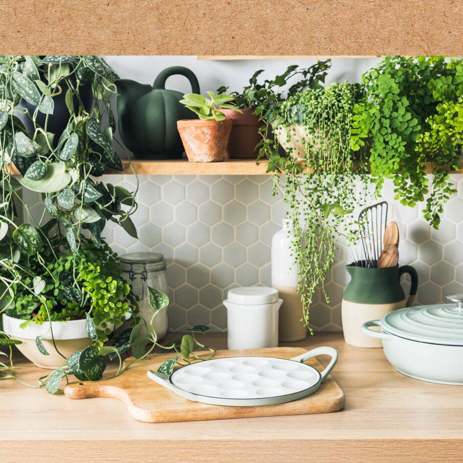 Lov E2580425 Poffertjespan - 16 stuks - Inductie