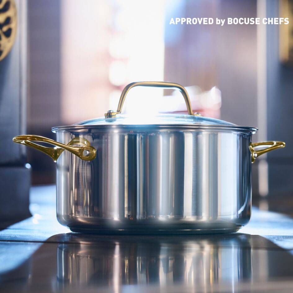 Tefal & Bocuse 24 cm stoofpot met glazen deksel, ongecoat roestvrij staal