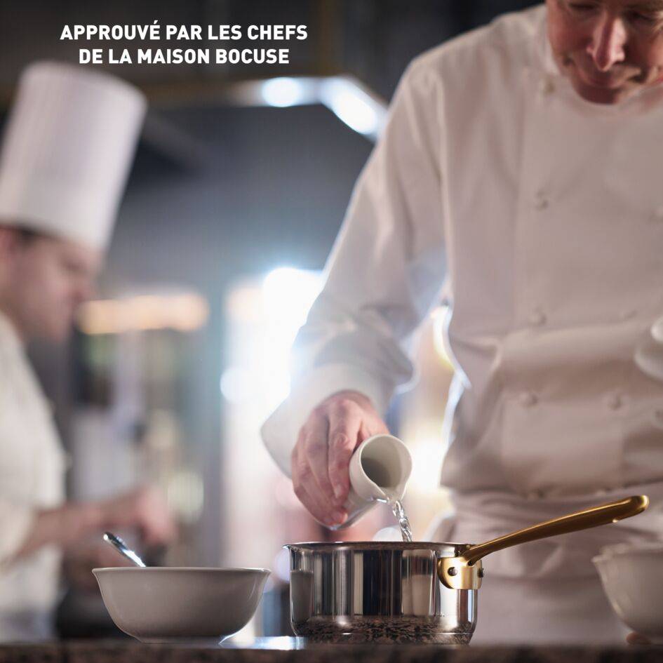 Tefal & Bocuse,H8242402 Casserole de 20 cm avec couvercle en verre, Acier inoxydable sans revêtement