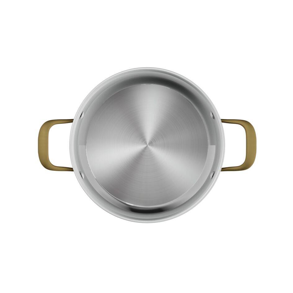 Tefal & Bocuse H8244602 Faitout de 24&nbsp;cm avec couvercle en verre - Acier inoxydable sans revêtement