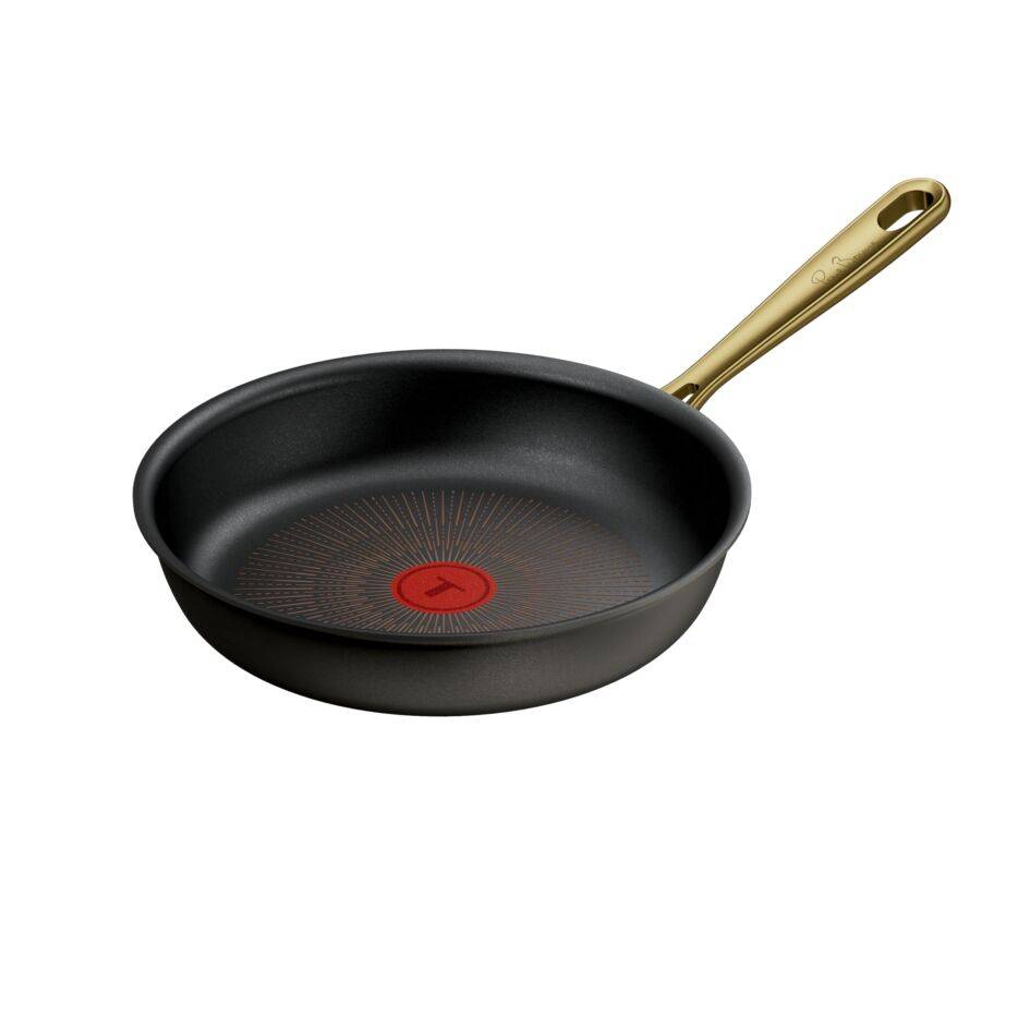 Tefal x Bocuse braadpan met antiaanbaklaag 24 cm
