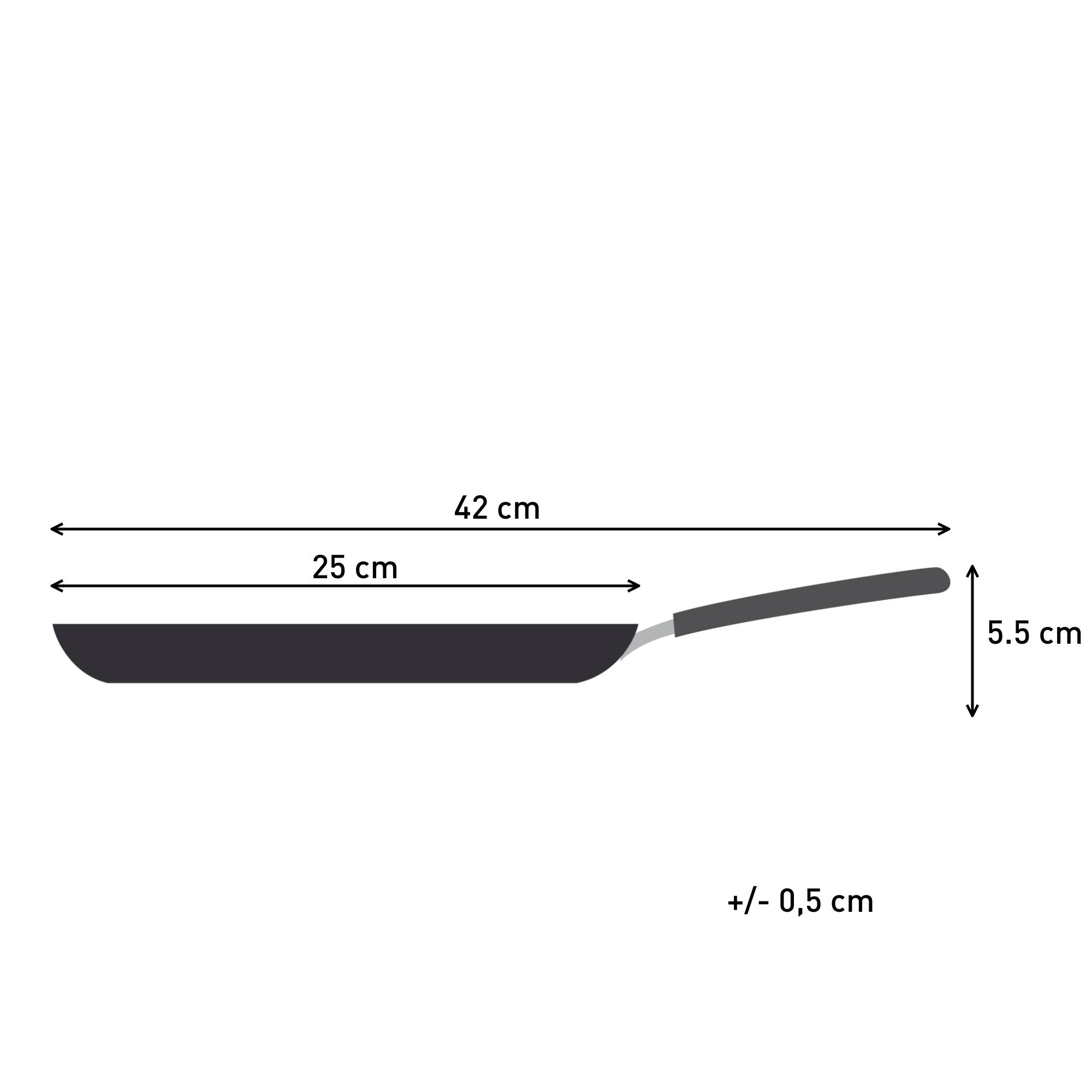 Pancake Day 2026, Pannenkoekenpan 25 cm, Uniek Décor, Anti-aanbaklaag