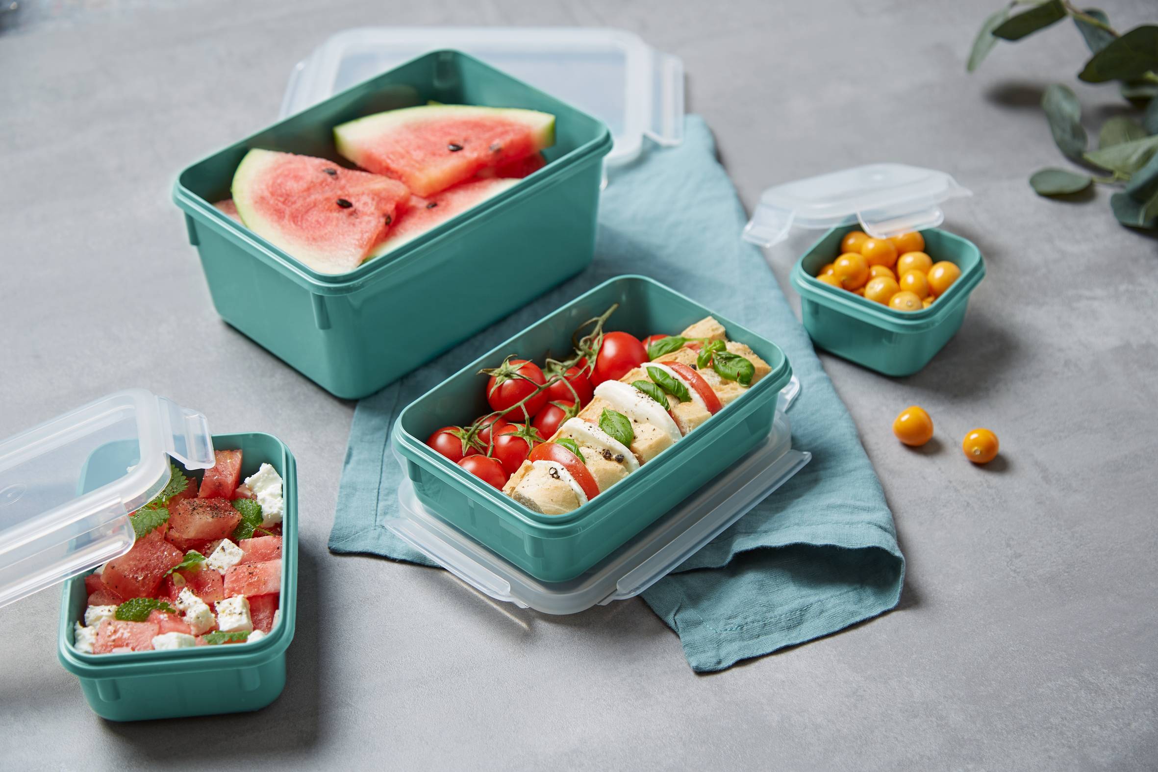 MasterSeal Color N1031010 Set de 4 boîtes de conservation - 0,20L / 0,55L / 0,80L / 2,2L