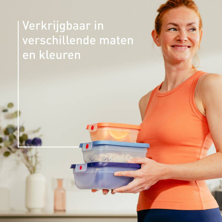 OneClick N1230210 Set van 3 bewaardozen - 0,5L / 1,2L / 2,3L  