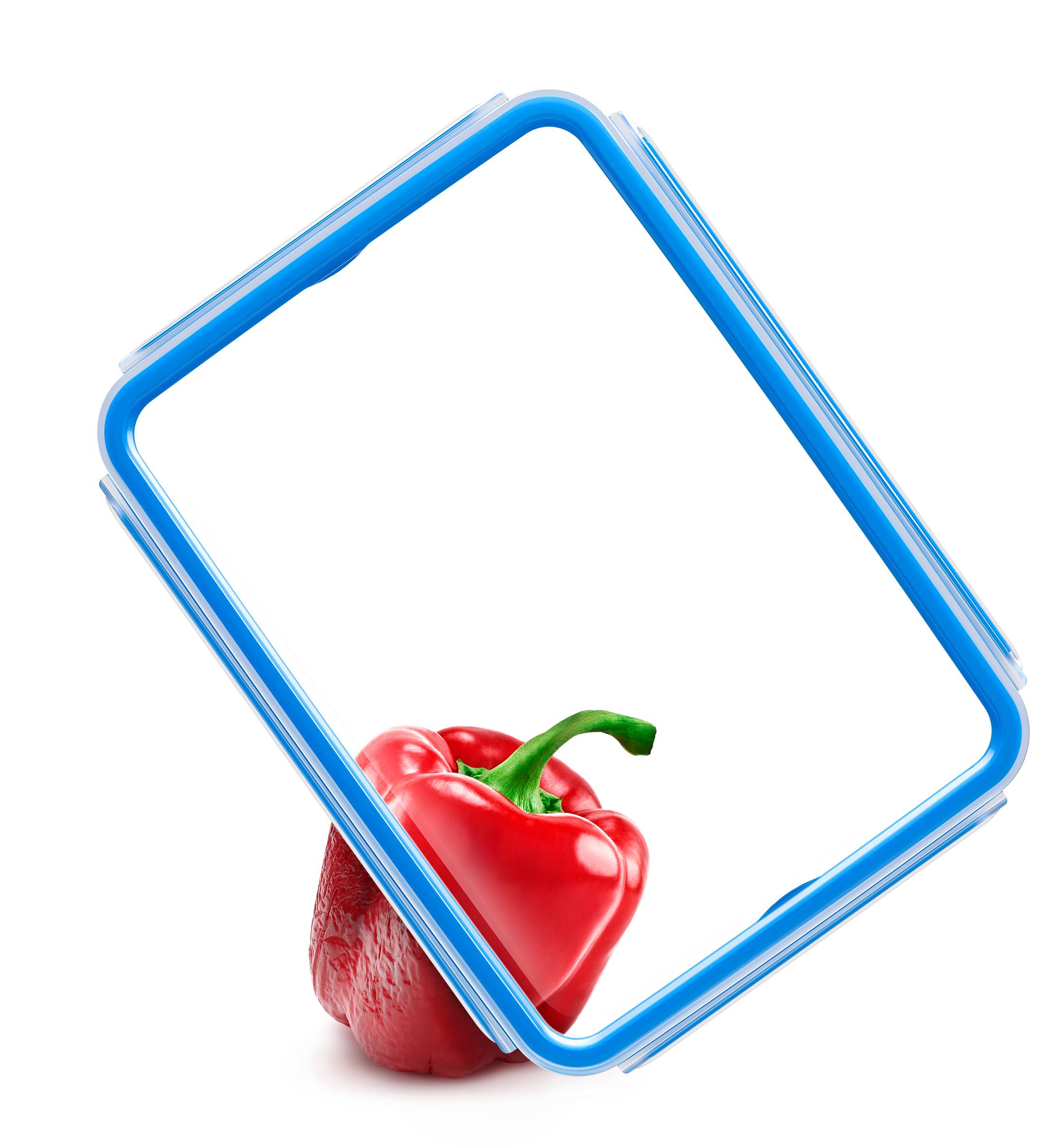 MasterSeal Fresh K3029012 Set de 5 boîtes de conservation - de 0,15L à 3,7L