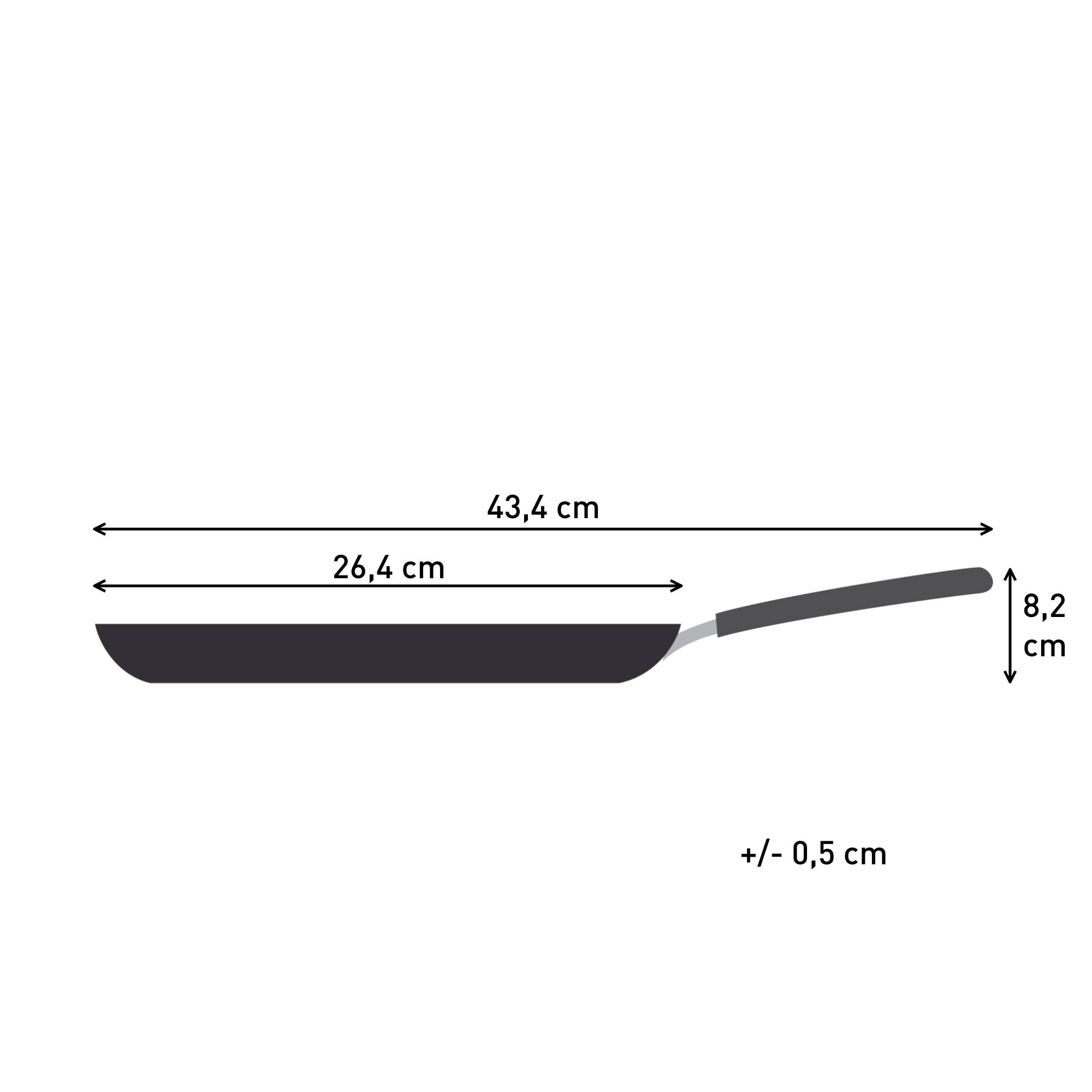 Experience Ceramic G2223823 Poêle à crêpes - 25 cm - Induction