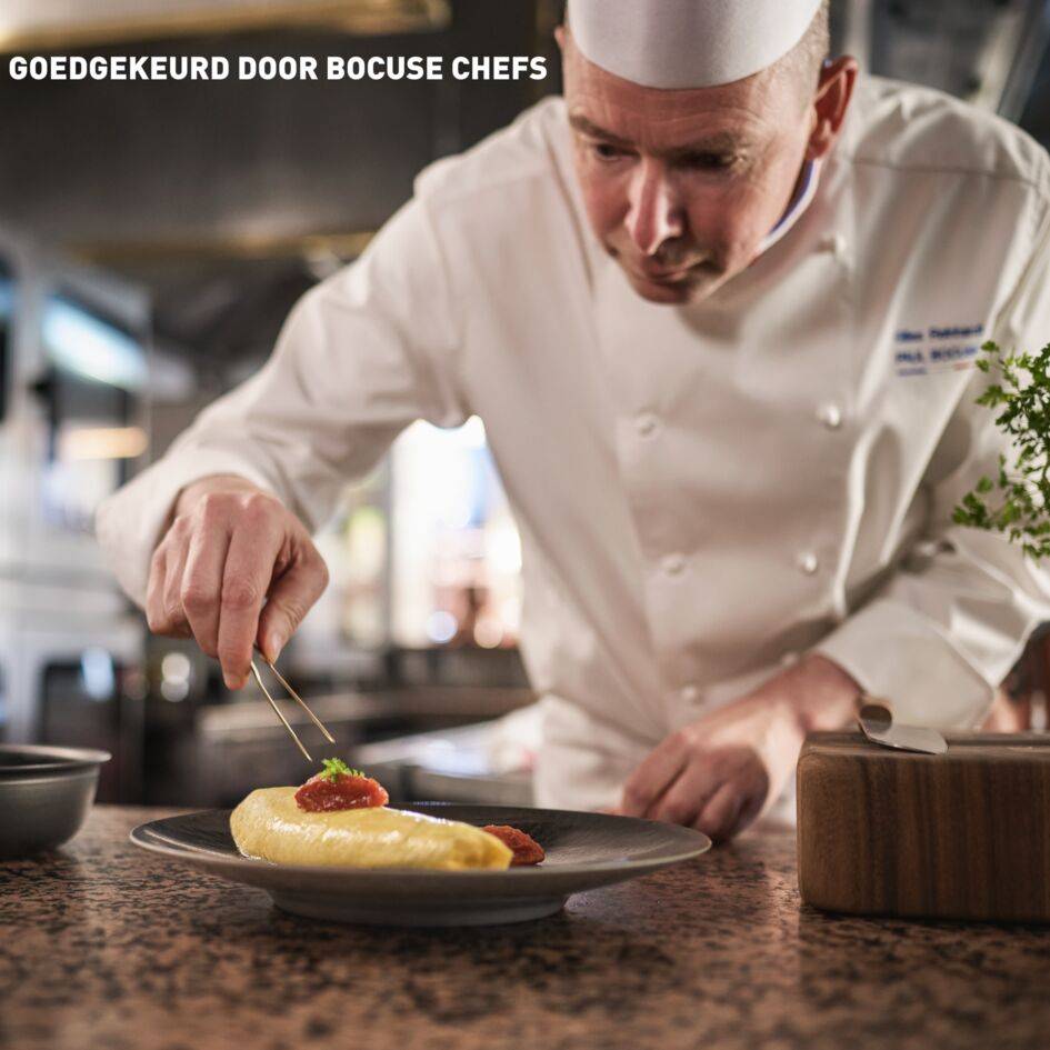 Tefal x Bocuse braadpan met antiaanbaklaag 24 cm