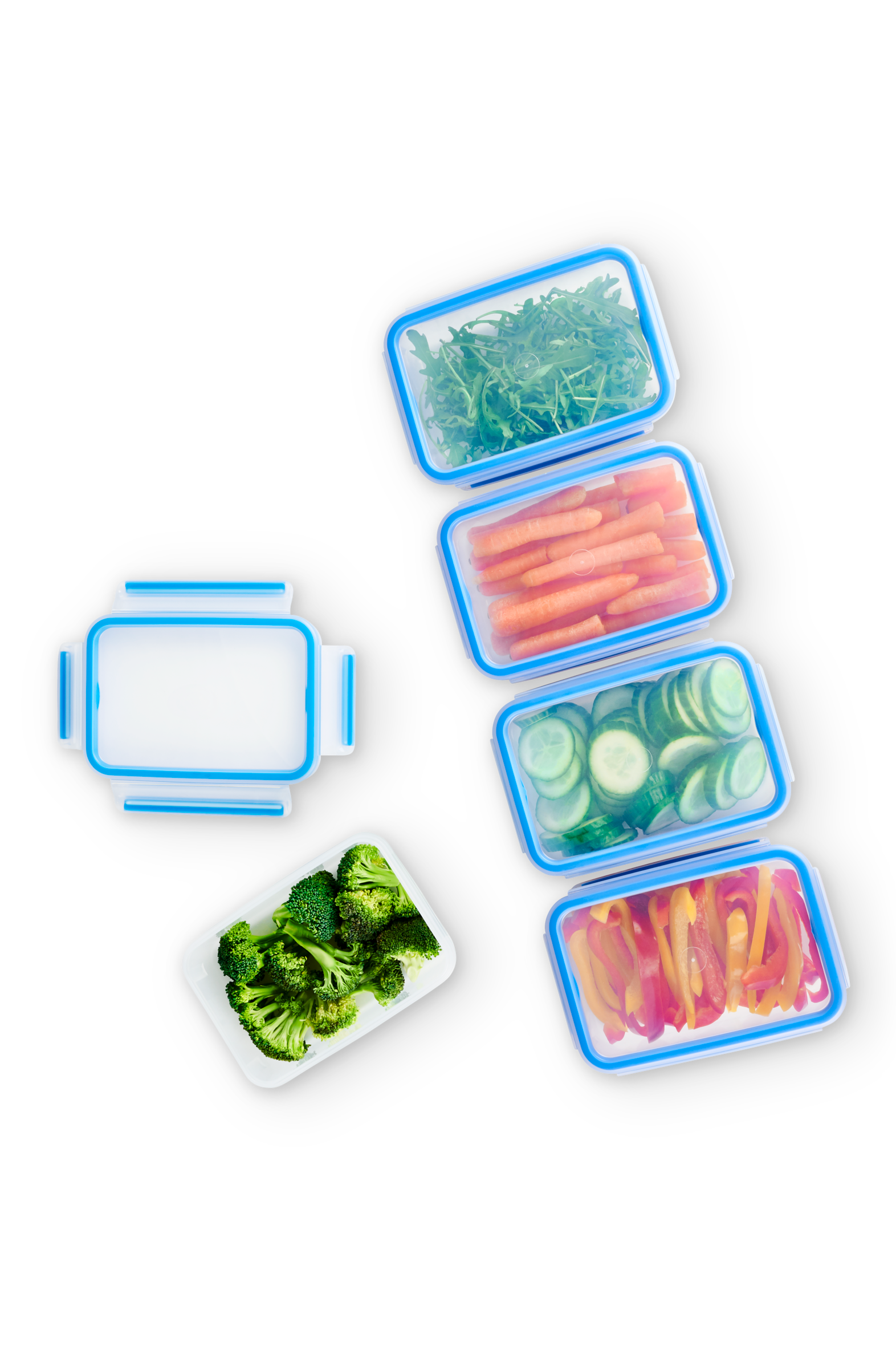 MasterSeal Fresh N1030710 Set van 5 bewaardozen - 0,8L