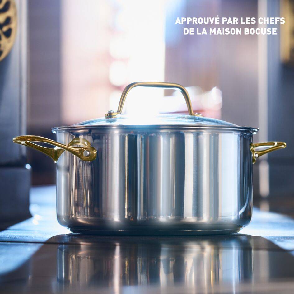 Tefal & Bocuse H8244602 Casserole de 24 cm avec couvercle en verre - Acier inoxydable sans revêtement