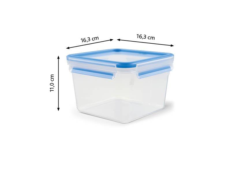 MASTERSEAL FRESH FOOD CONSERVATION