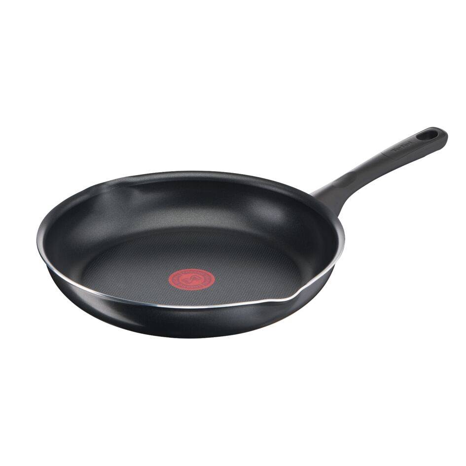 Day by Day B5580223 Braadpan - 20 cm - Geen inductie