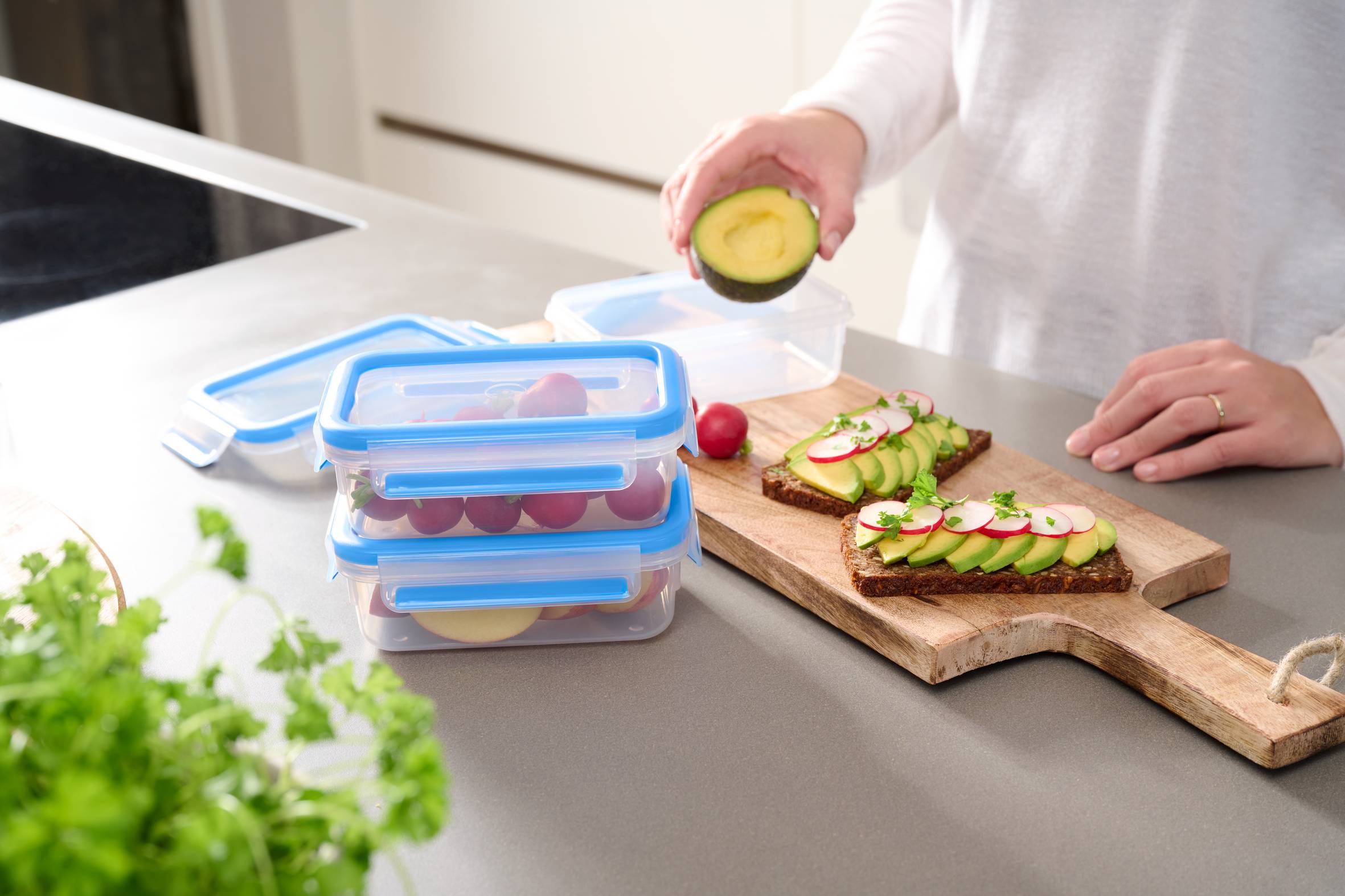 MasterSeal Fresh N1031251 Set van 3 bewaardozen - 0,55L