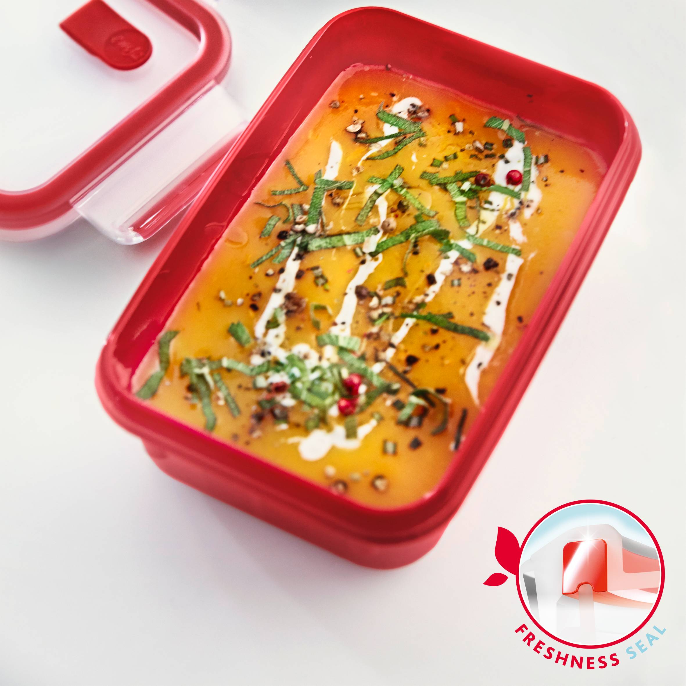 MasterSeal Fresh K3021212 Boîte de conservation - 1,0L