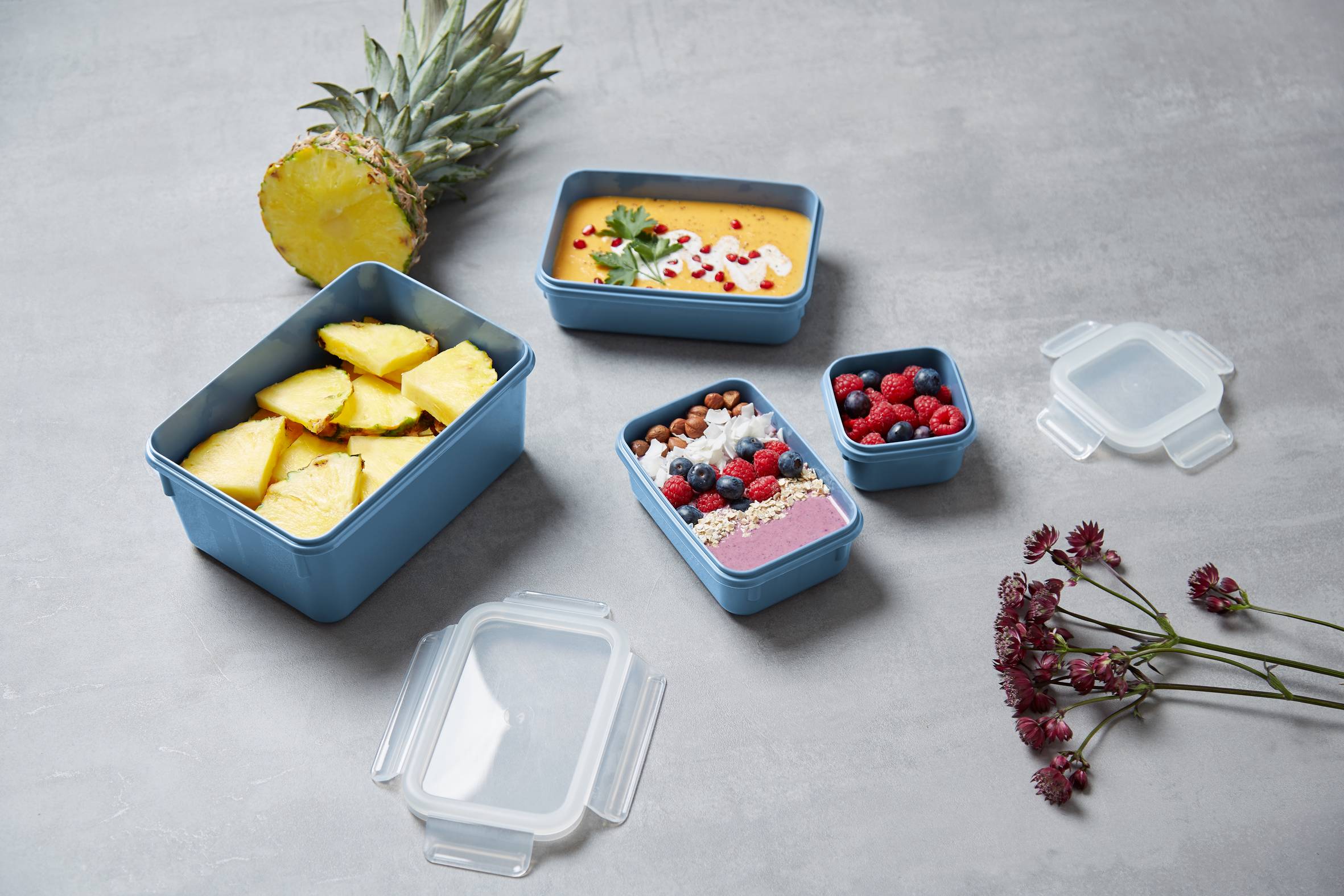 MasterSeal Color N1030810 Set de 4 boîtes de conservation - 0,20L / 0,55L / 0,80L / 2,2L