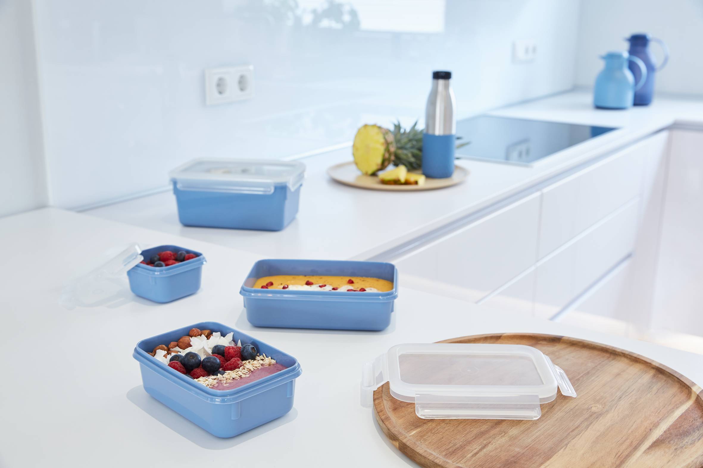 MasterSeal Color N1030810 Set de 4 boîtes de conservation - 0,20L / 0,55L / 0,80L / 2,2L