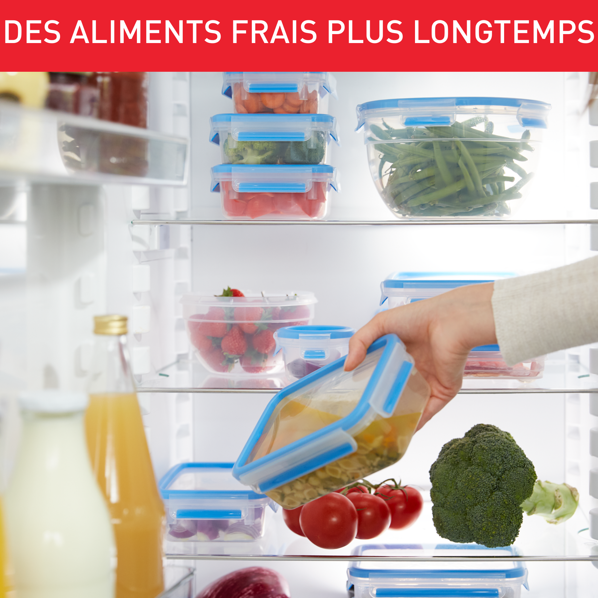 Masterseal Fresh K3021112 Boîte de conservation - 0,55L