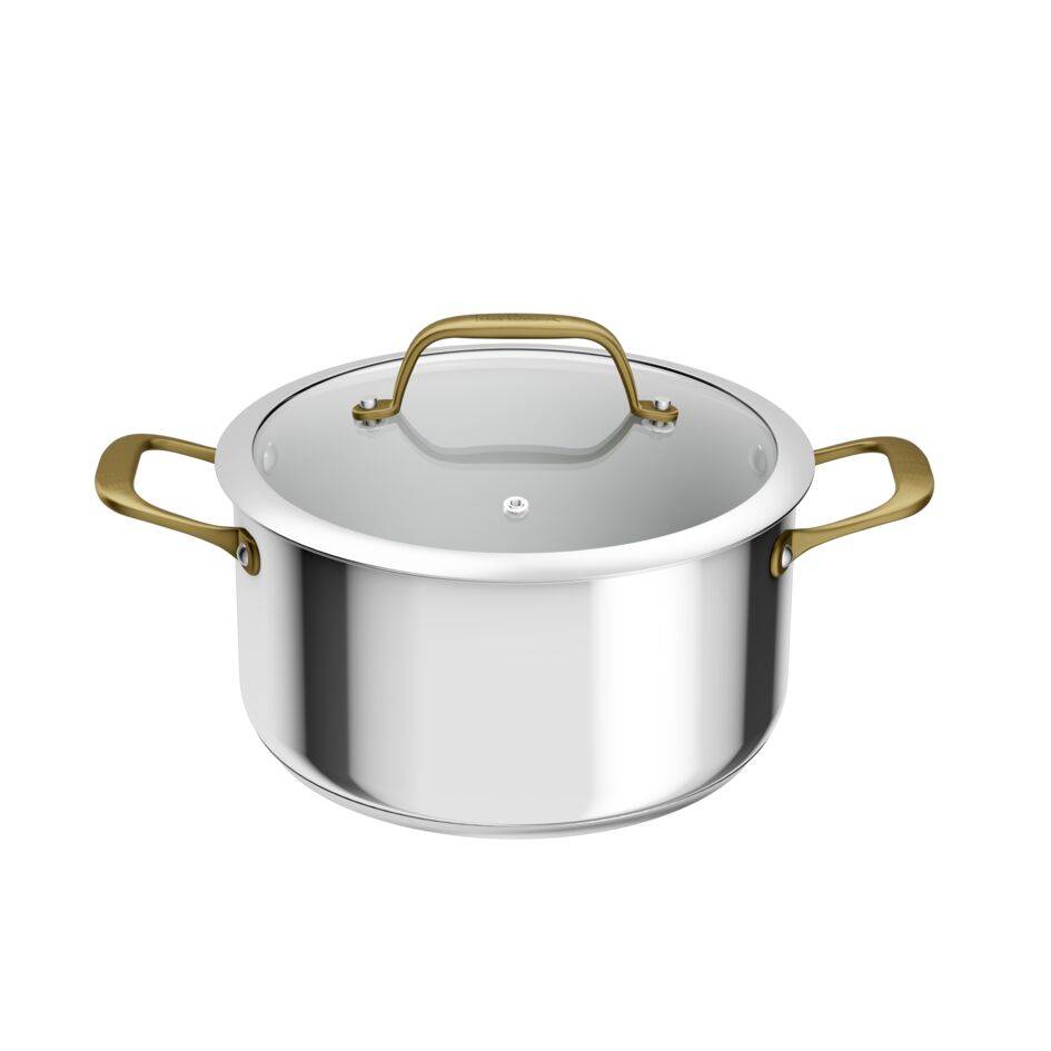Tefal & Bocuse H8244602 Faitout de 24&nbsp;cm avec couvercle en verre - Acier inoxydable sans revêtement