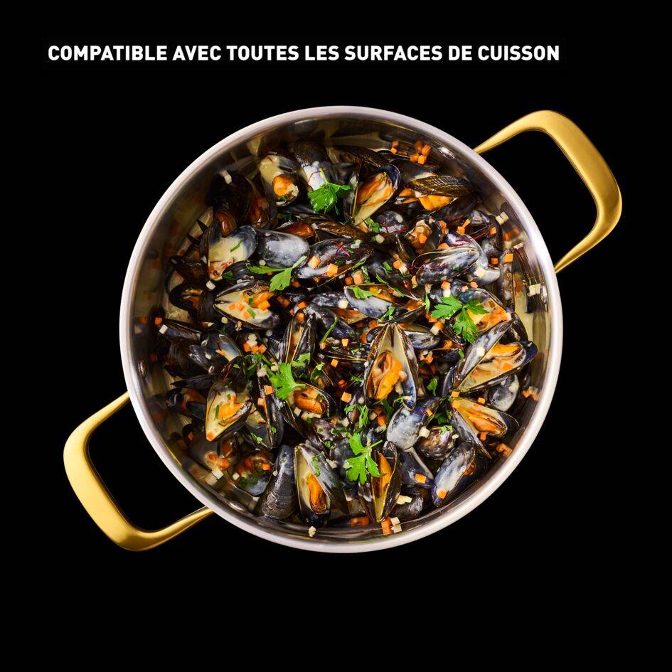 Tefal & Bocuse H8244602 Faitout de 24&nbsp;cm avec couvercle en verre - Acier inoxydable sans revêtement