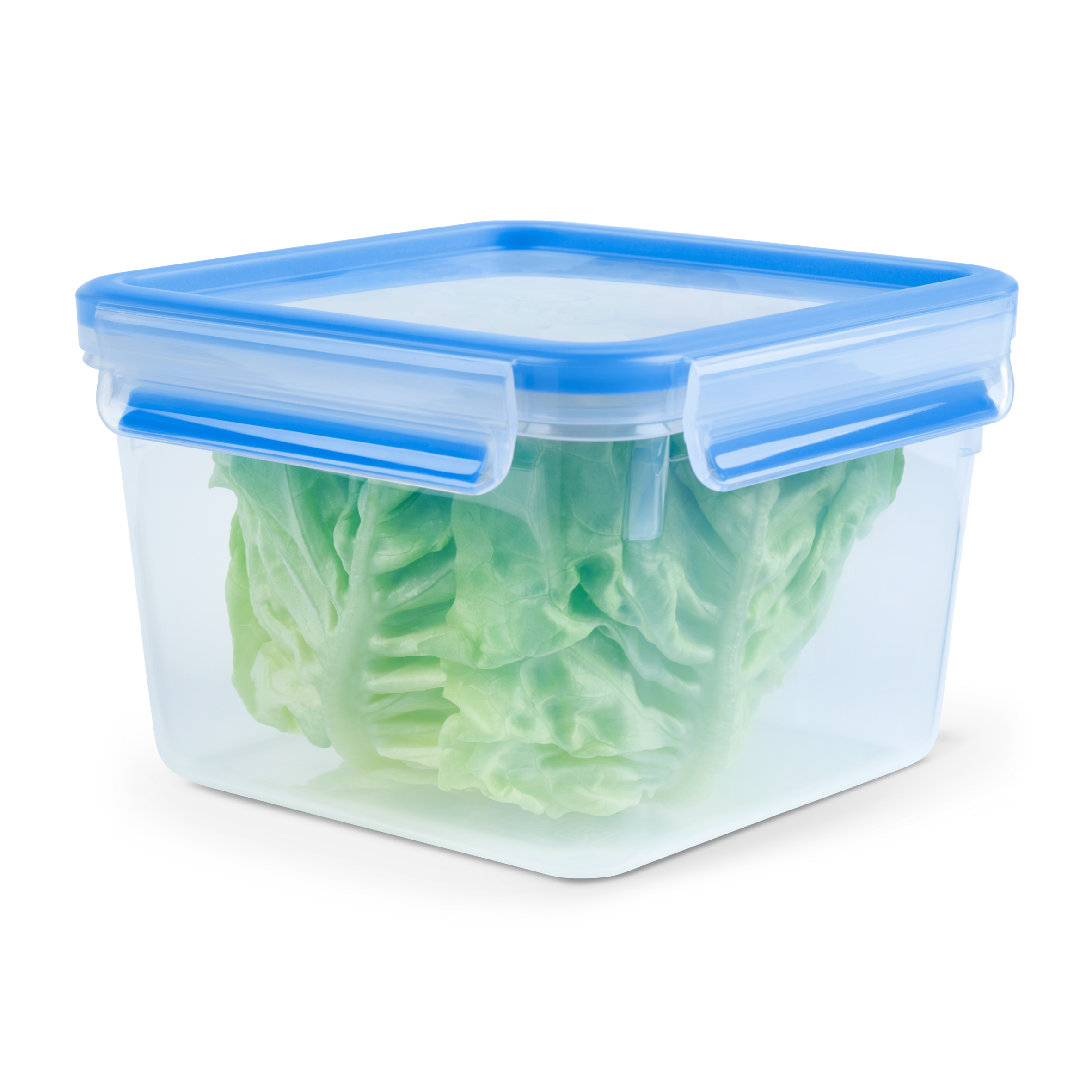 Masterseal Fresh K3021712 Boîte de conservation plastique 1,75L - 16,3x16,3x11 cm