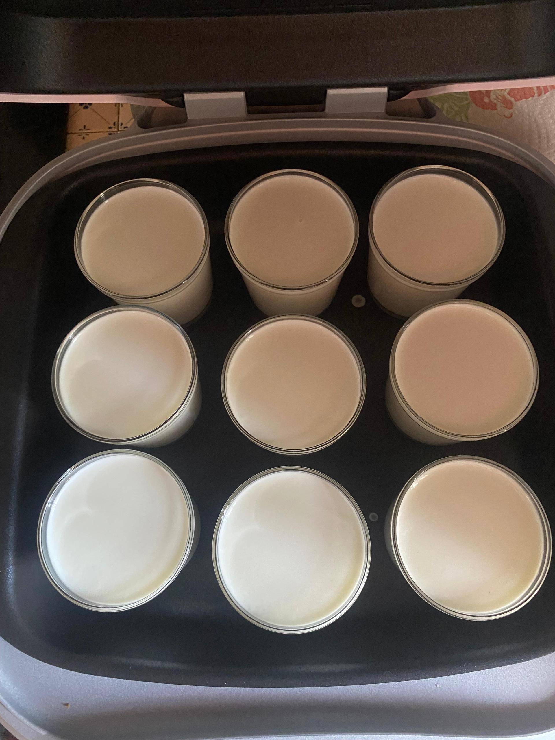 Yaourt Nature - Recette Cake Factory Infinity | Tefal