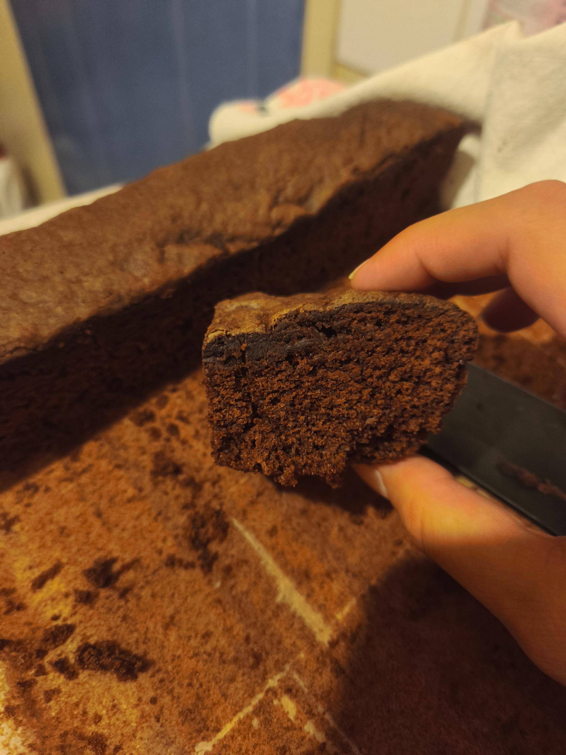 Moelleux au chocolat ''LuluBoulu'' - Recette Cake Factory Infinity | Tefal