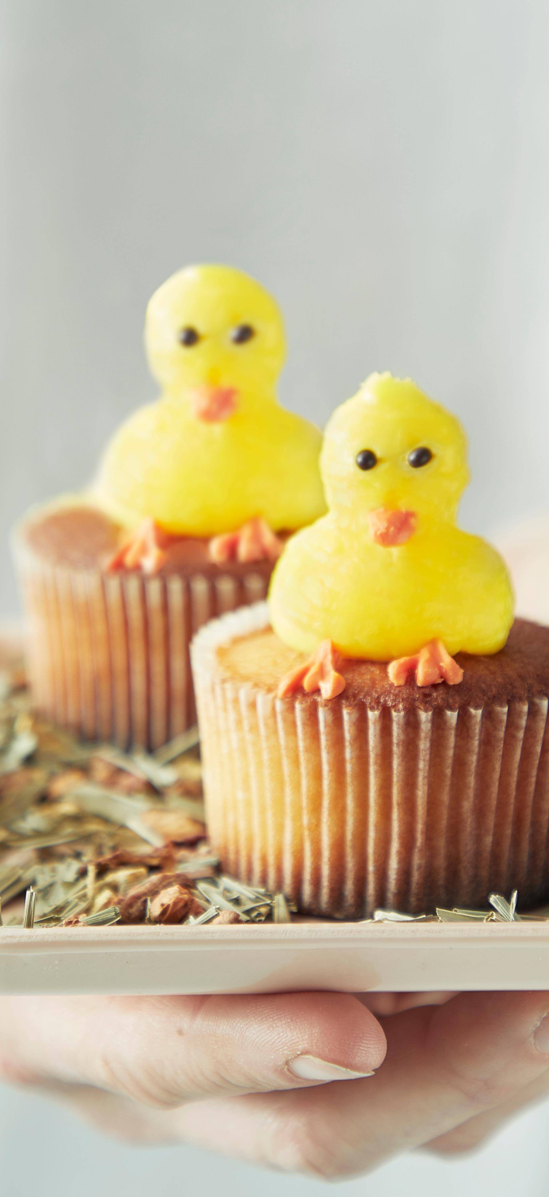 Cupcakes poussin - Recette Cake Factory | Tefal