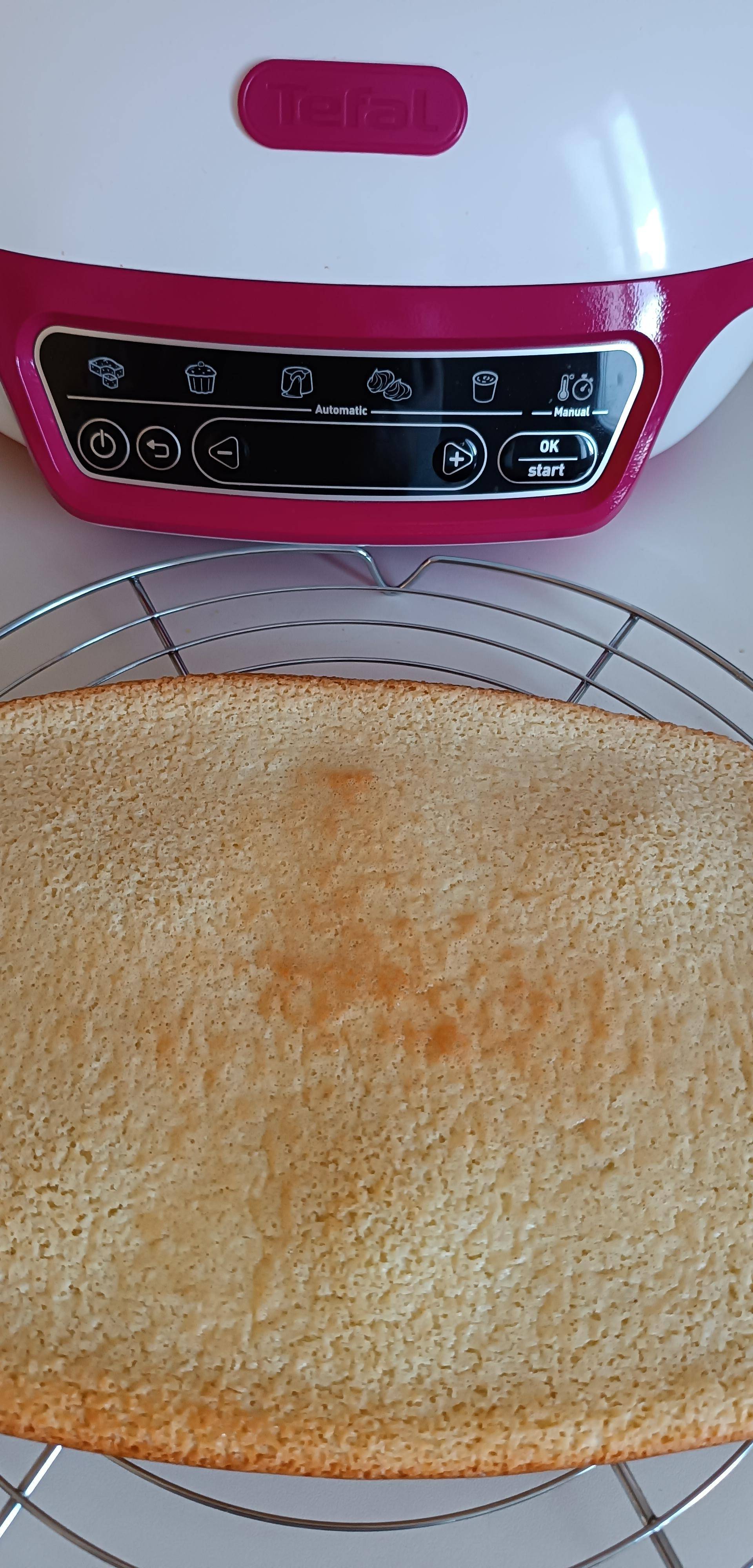 Gâteau léger à la noix de coco - Recette Cake Factory Délices | Tefal