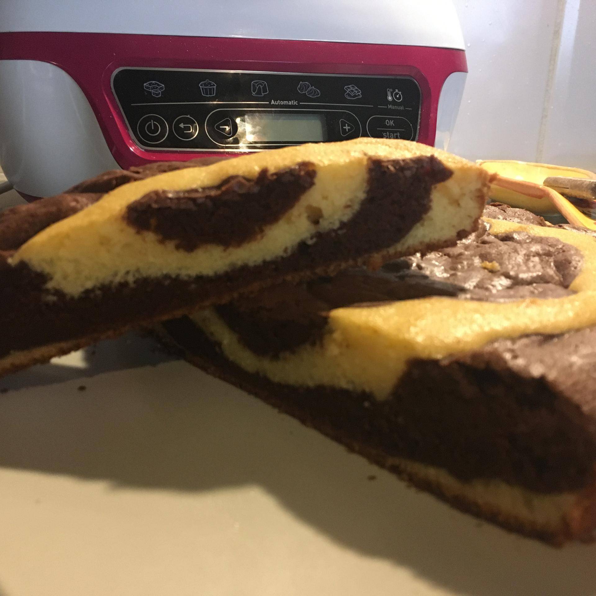Gâteau façon savane - Recepten Cake Factory | Tefal