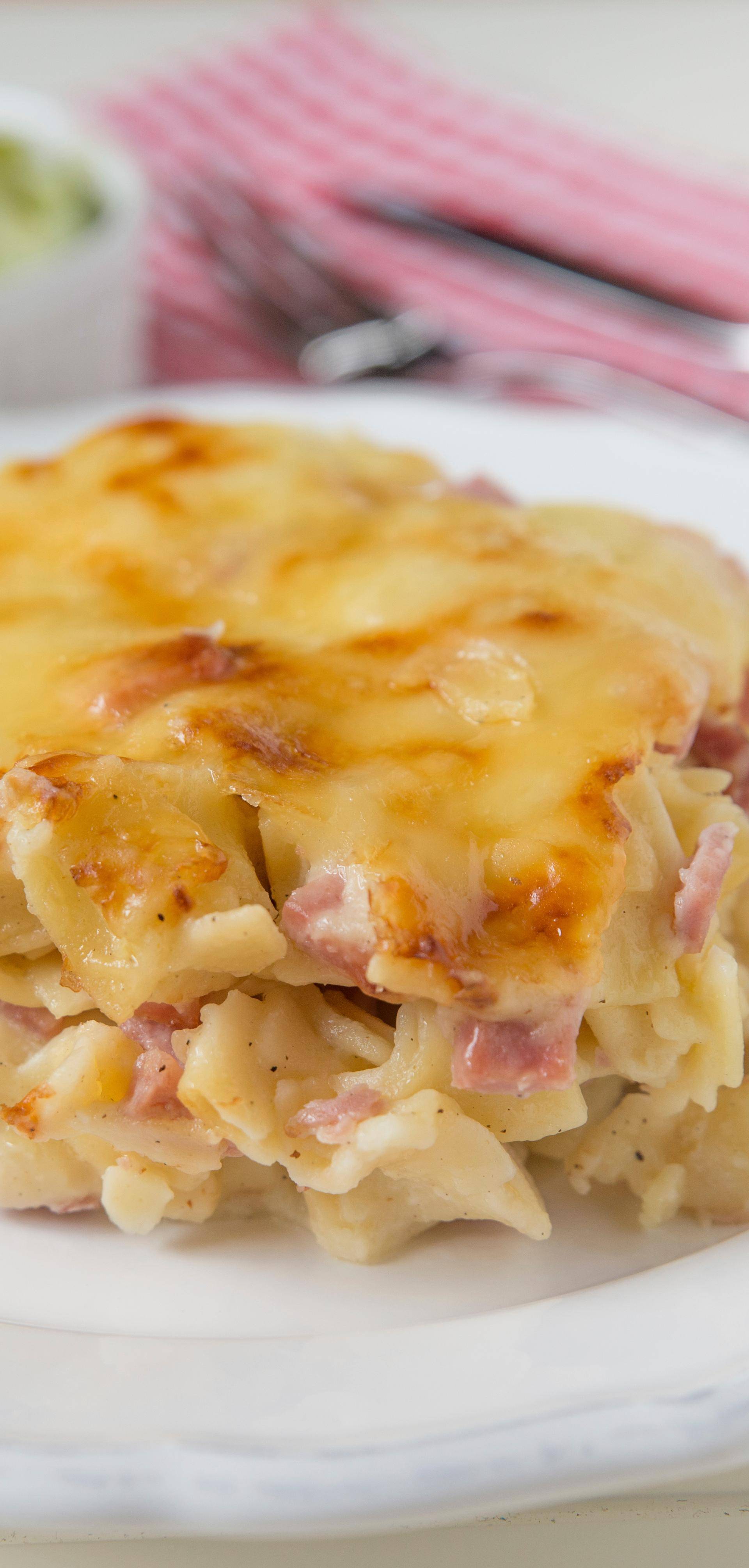 Gratin de macaroni au jambon - Recette Balance de cuisine | Tefal