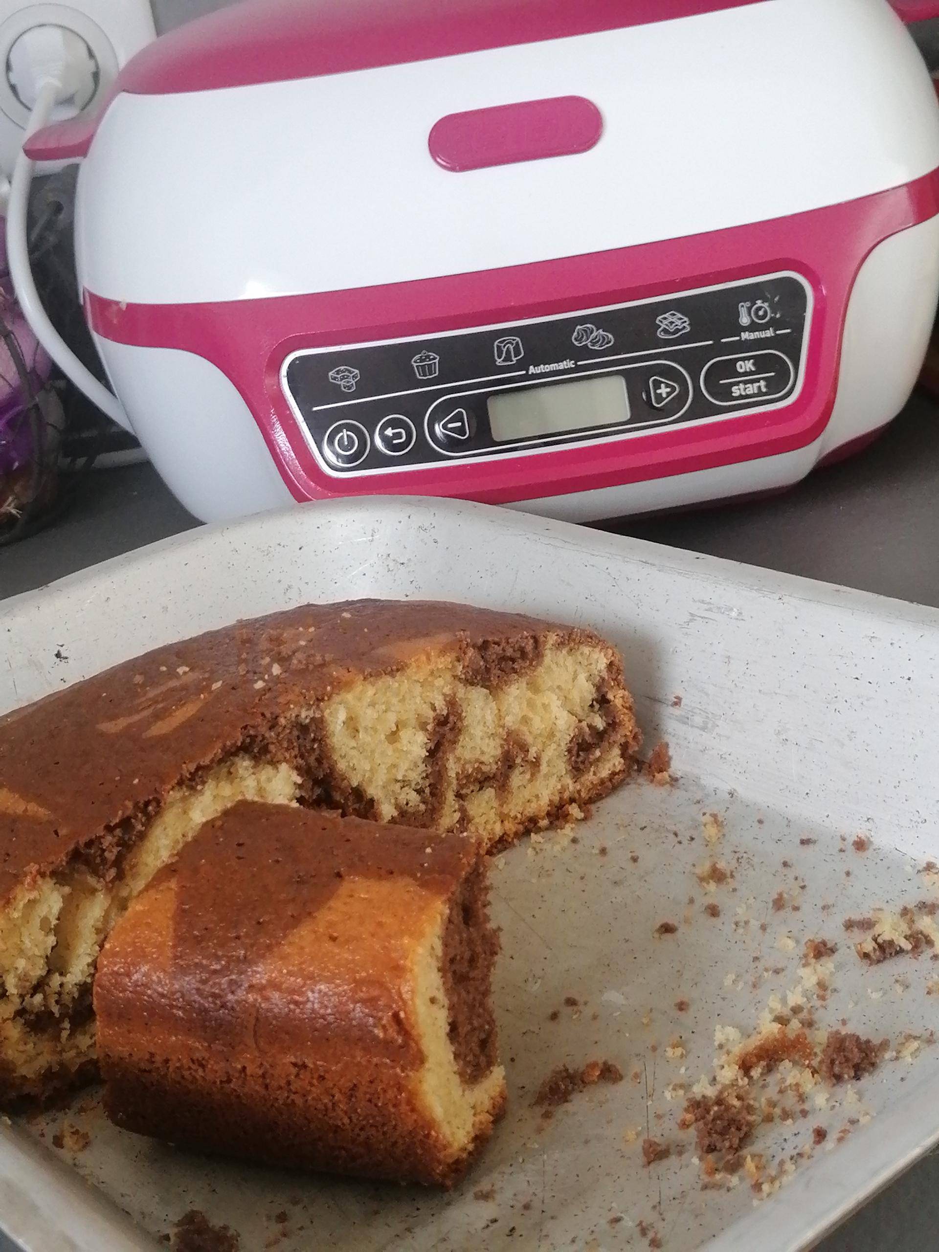Gâteau au yaourt façon savane - Recepten Cake Factory | Tefal